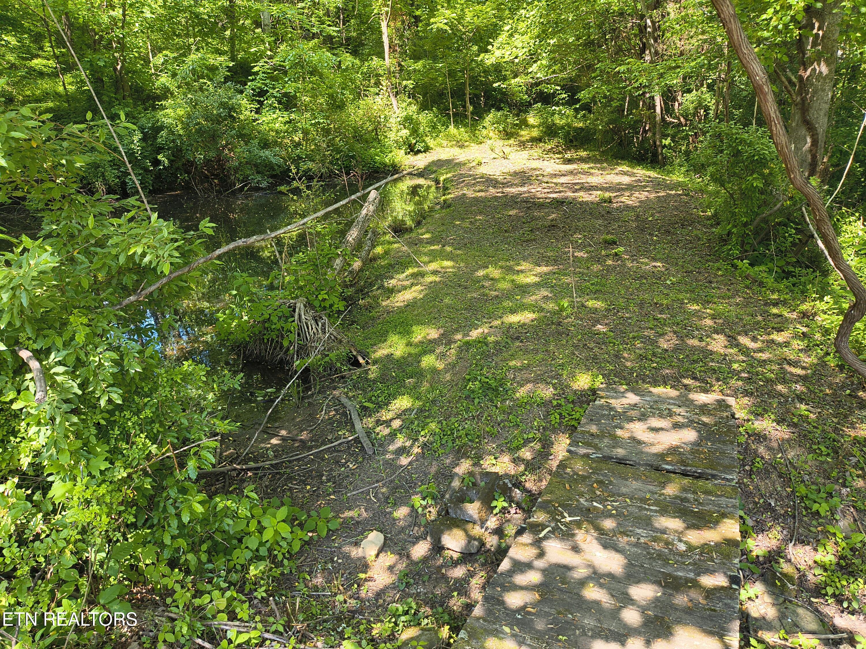3552 Straight Fork Road Pioneer TN 37847