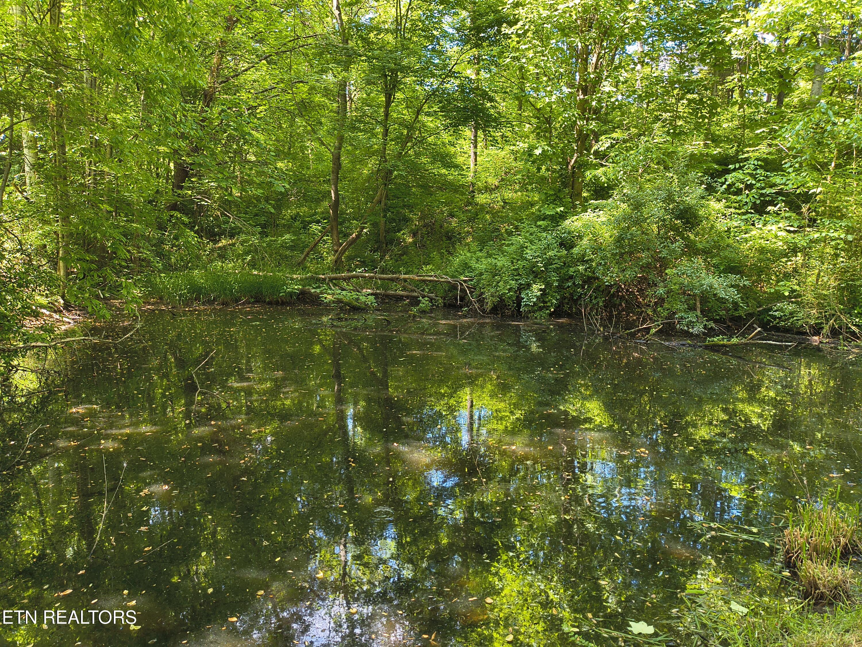 3552 Straight Fork Road Pioneer TN 37847
