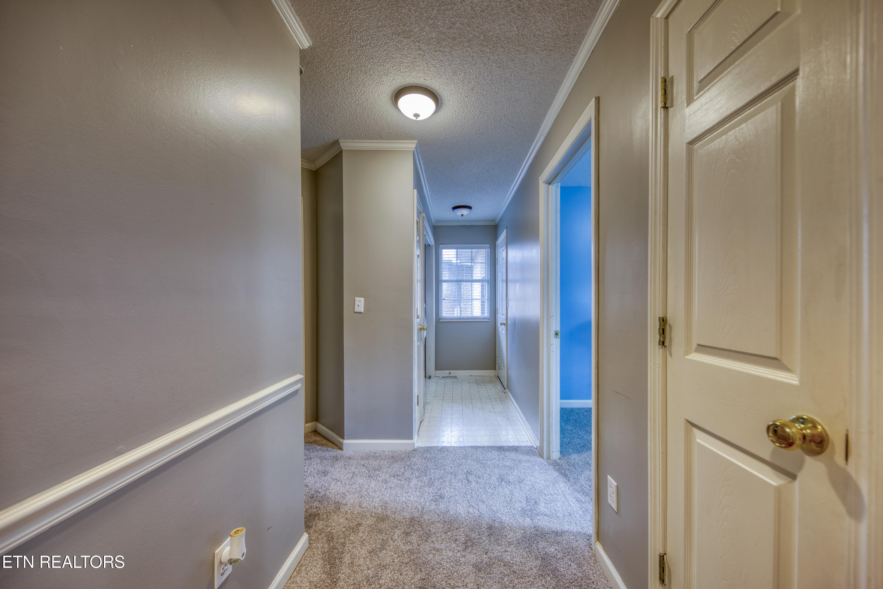 180 Hidden Oaks Lane Lenoir City TN 37772
