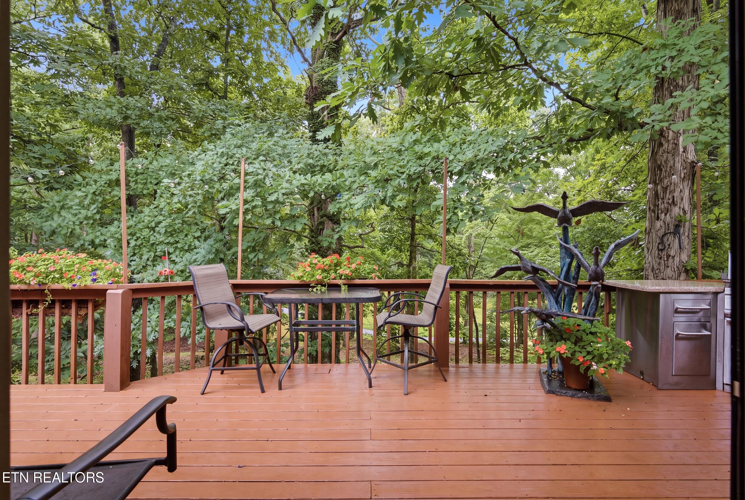 114 Oostanali Way Loudon TN 37774