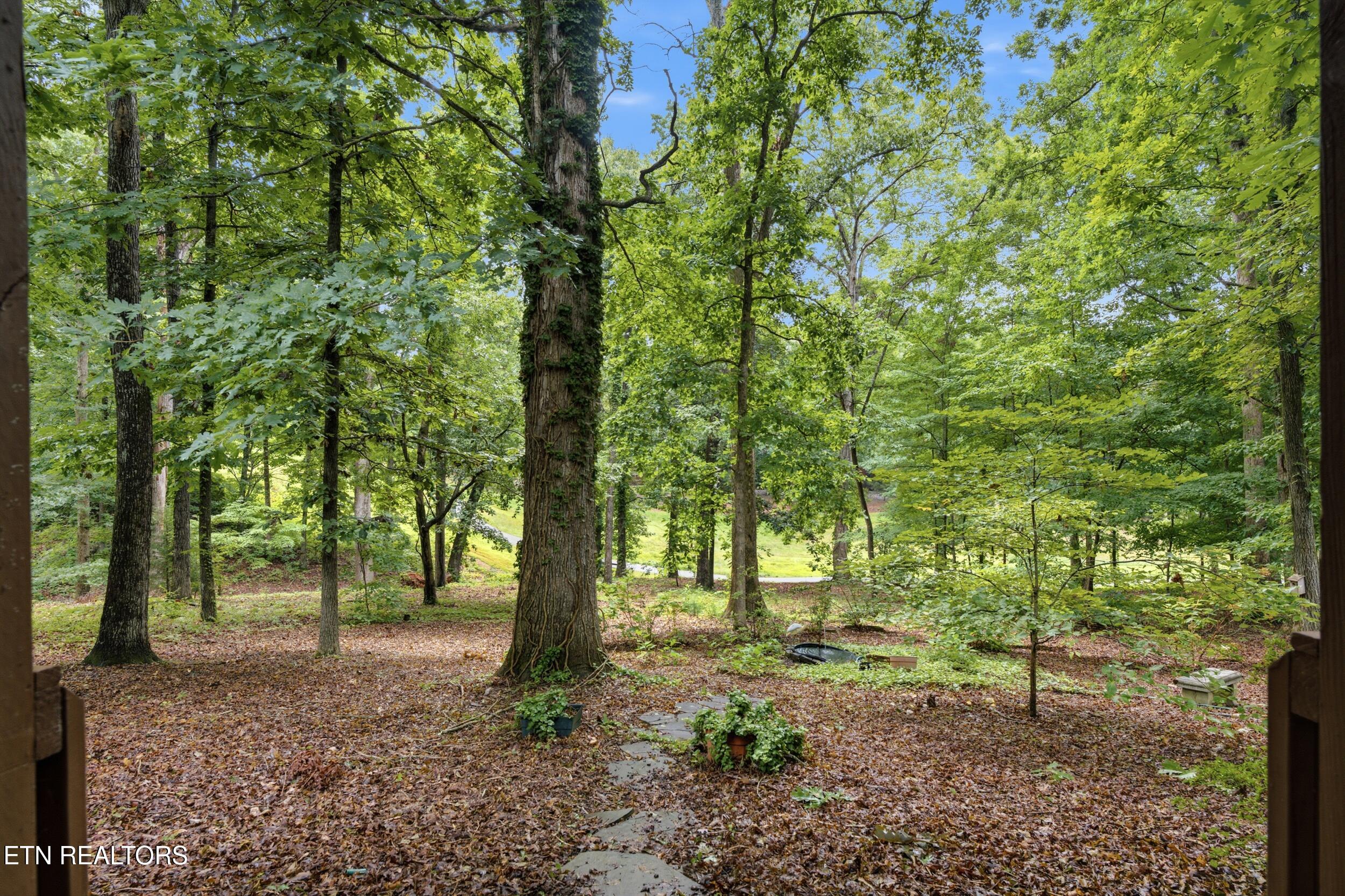 114 Oostanali Way Loudon TN 37774