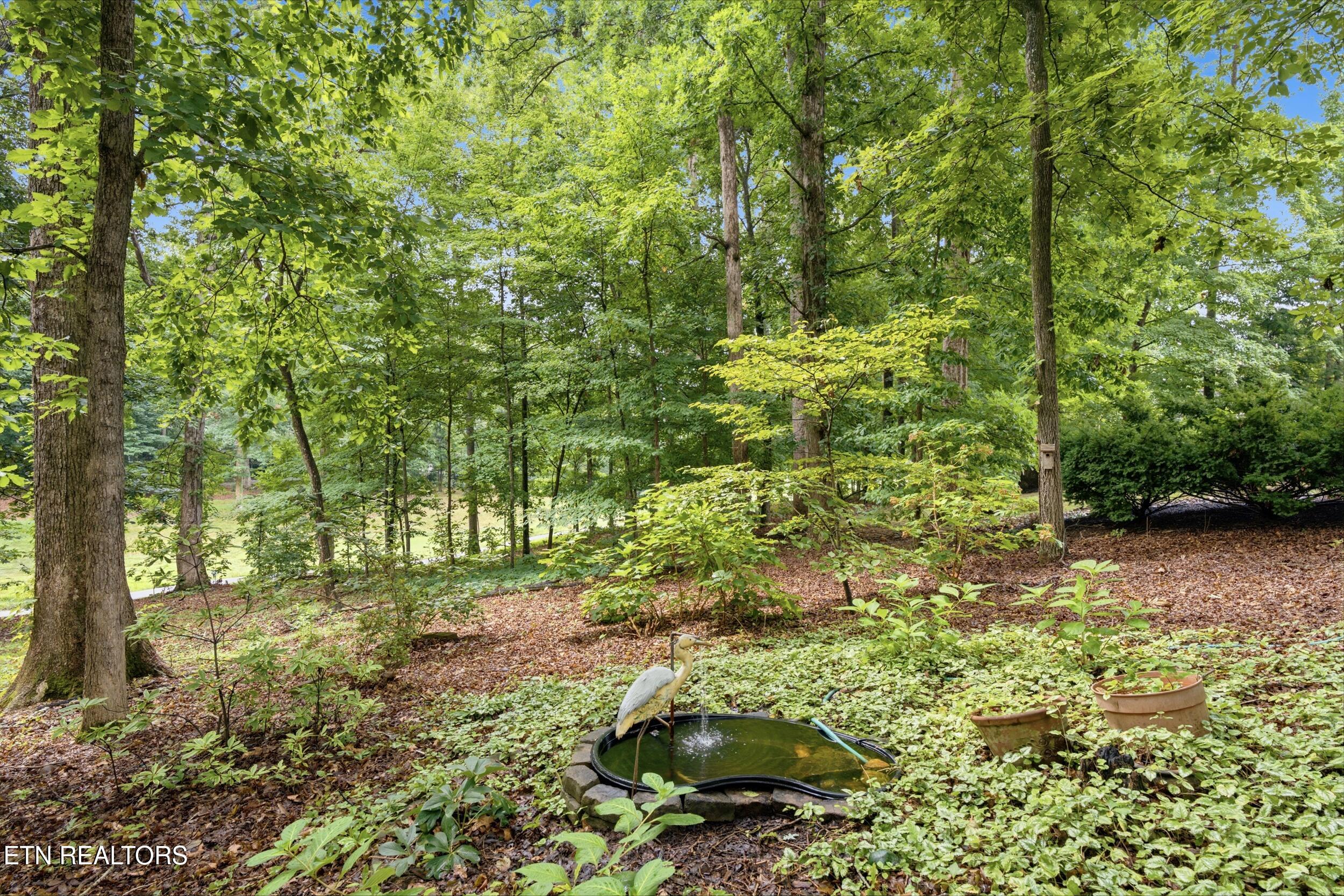 114 Oostanali Way Loudon TN 37774