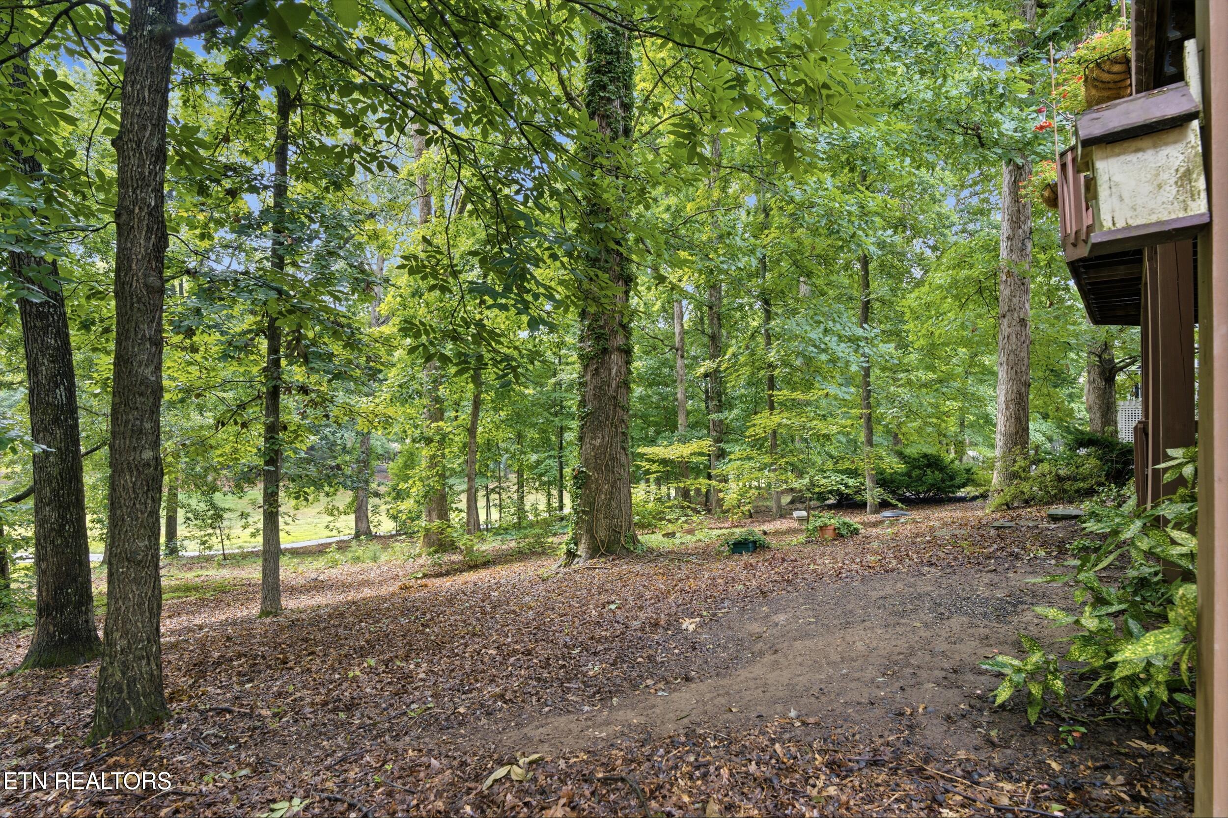 114 Oostanali Way Loudon TN 37774