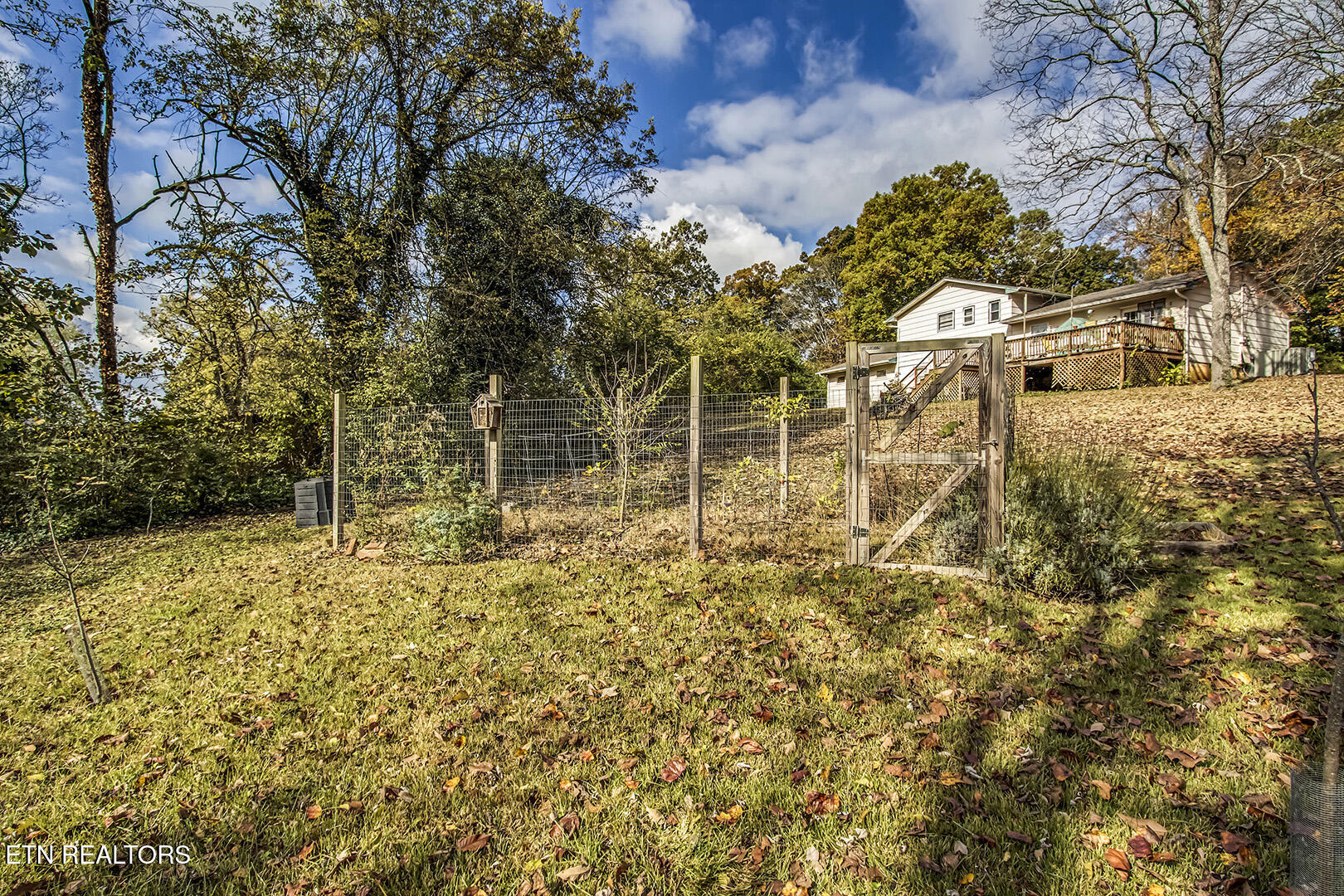 1517 Arrow Wood Road Knoxville TN 37919