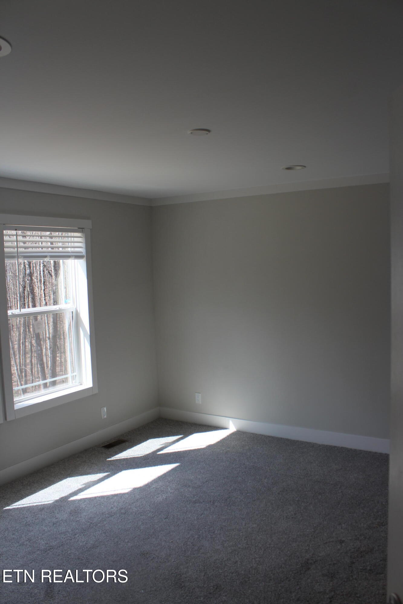 60 Longview Lane Jamestown TN 38556