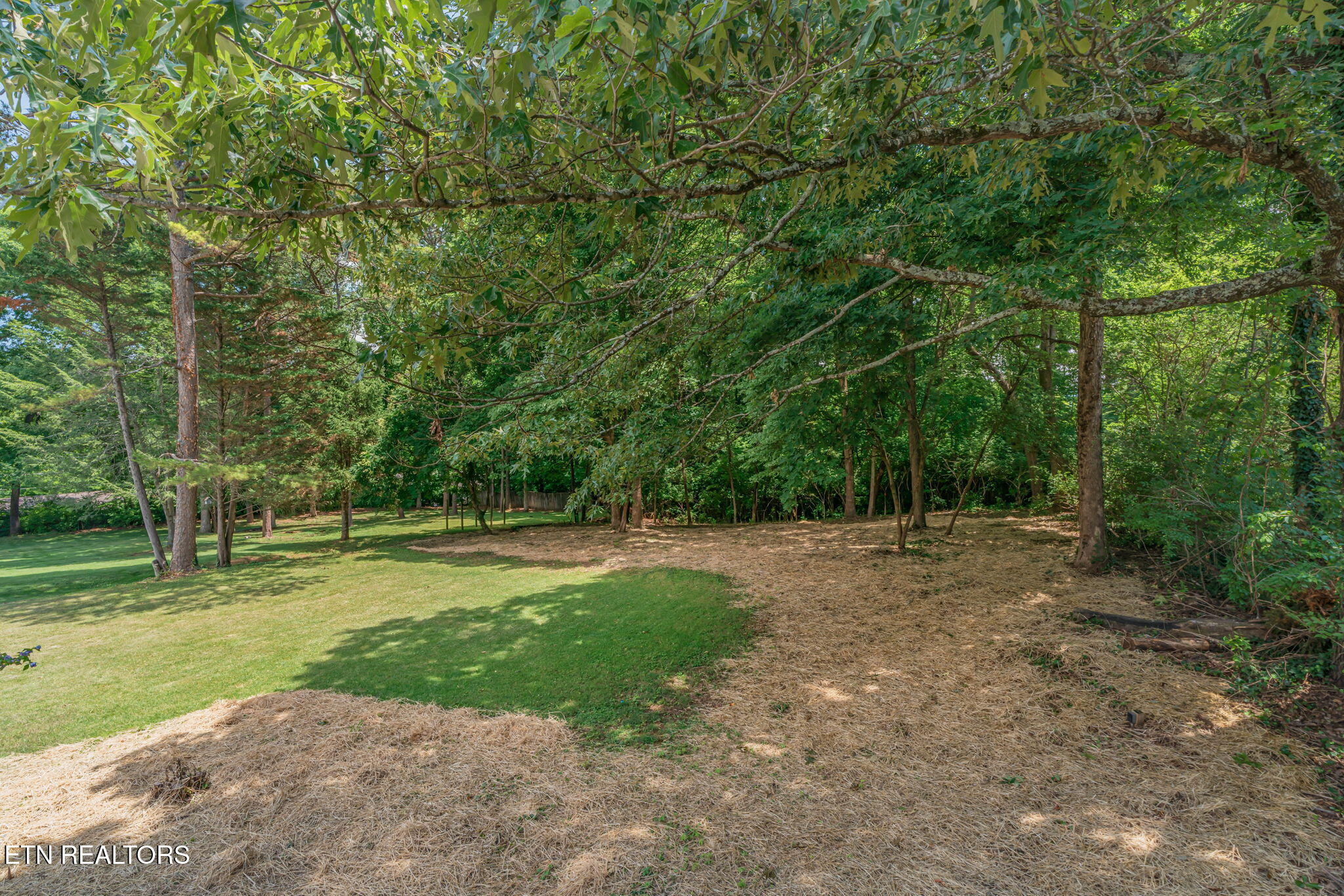 10008 Bluegrass Road Knoxville TN 37922