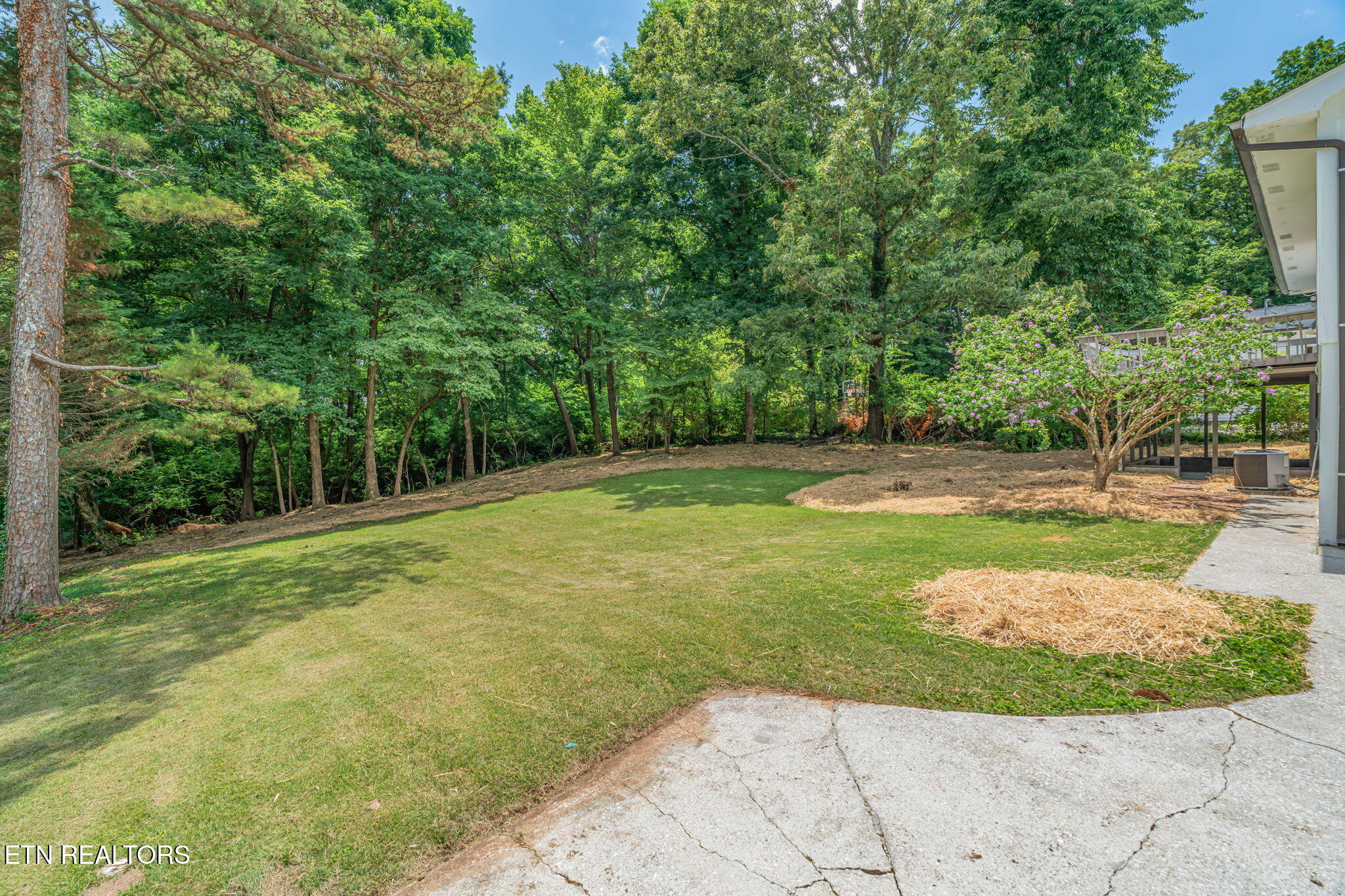 10008 Bluegrass Road Knoxville TN 37922
