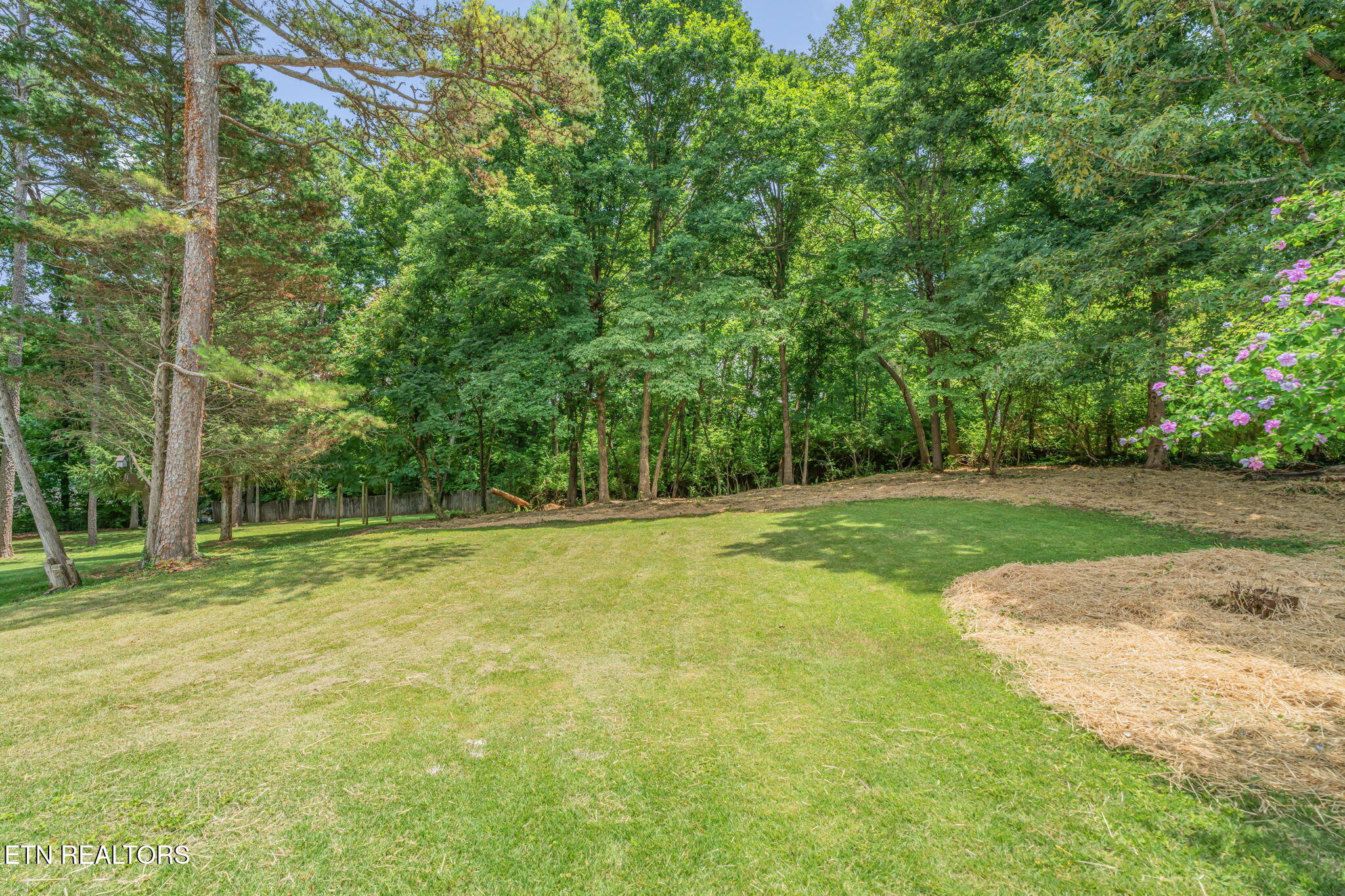 10008 Bluegrass Road Knoxville TN 37922