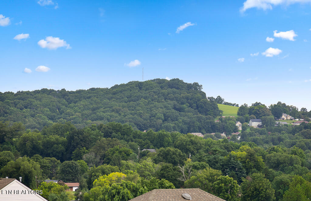 402 Sugar Maple Trail Lenoir City TN 37771