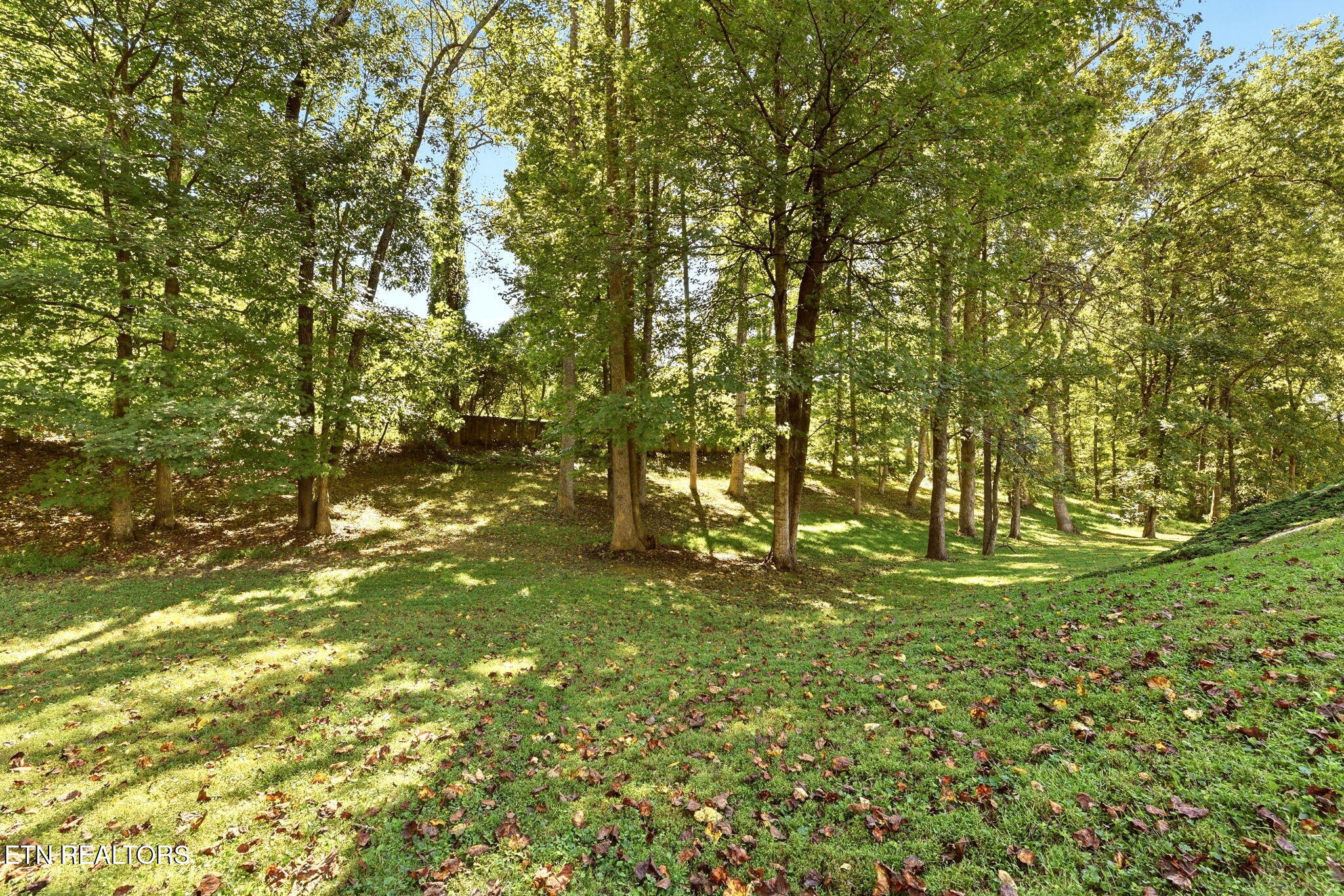 144 Apple Tree Drive Clinton TN 37716