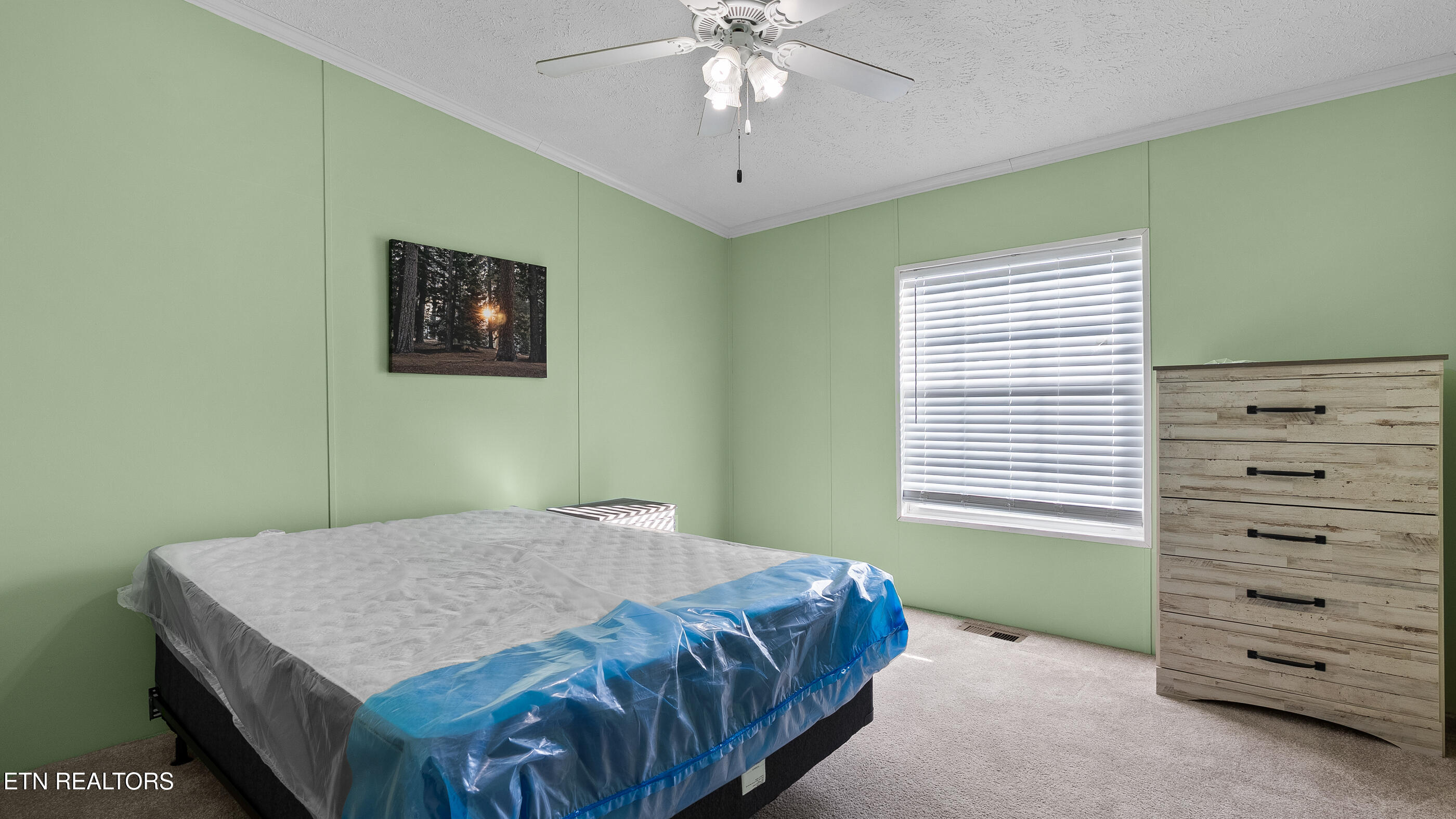 1126 Oakes Vista Lane Seymour TN 37865
