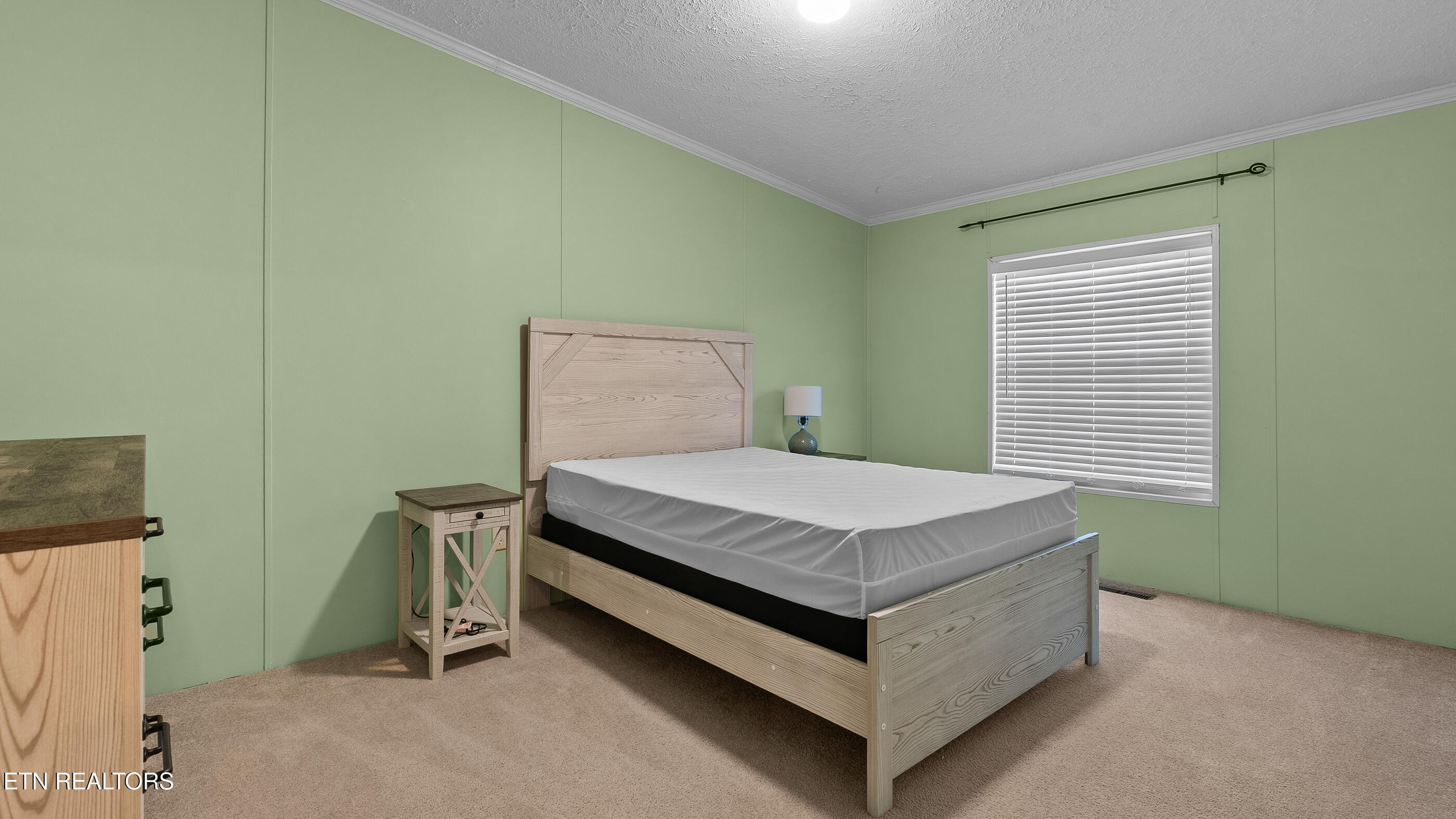 1126 Oakes Vista Lane Seymour TN 37865