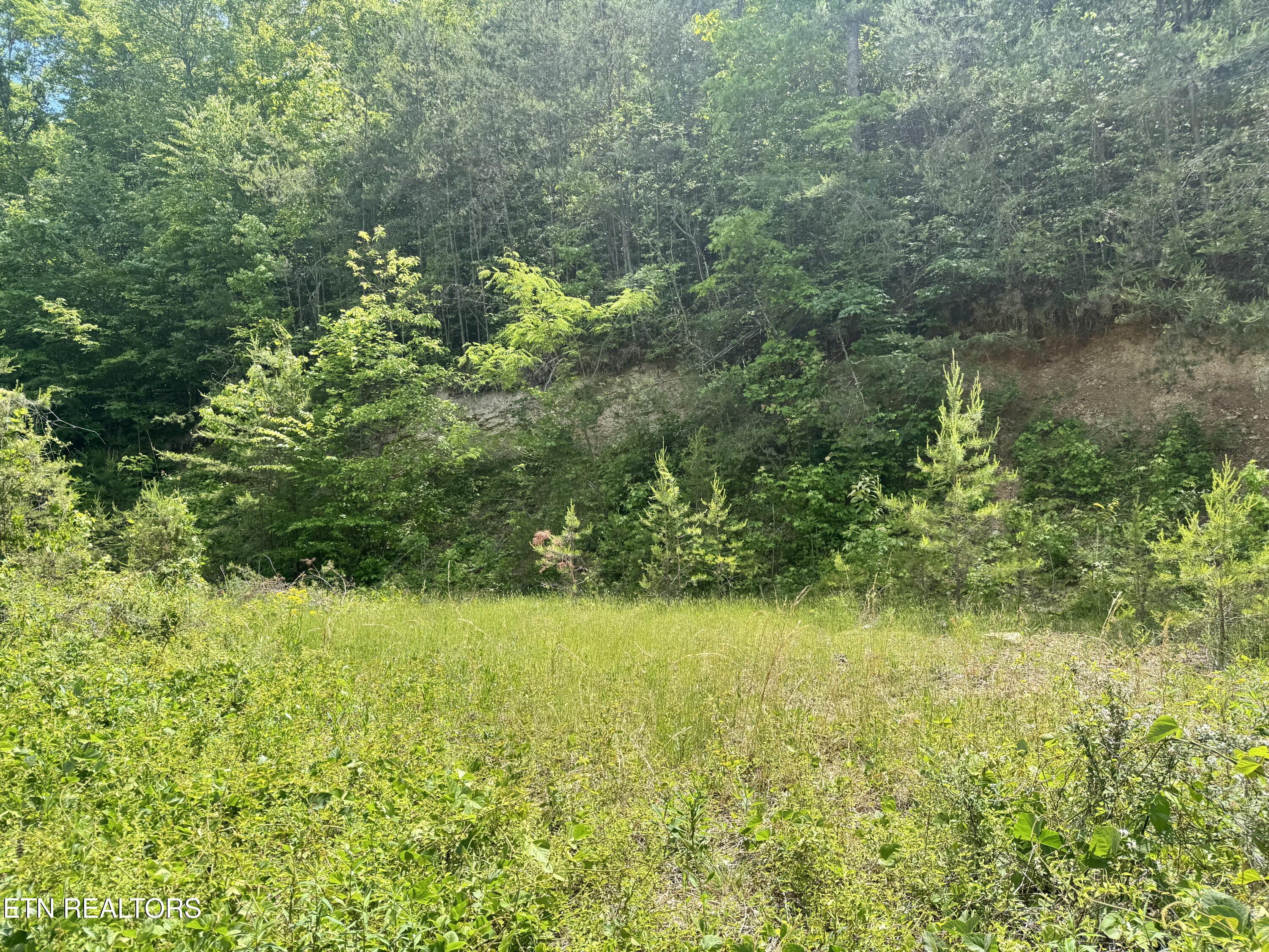 955 Rock Haven Road Bean Station TN 37708