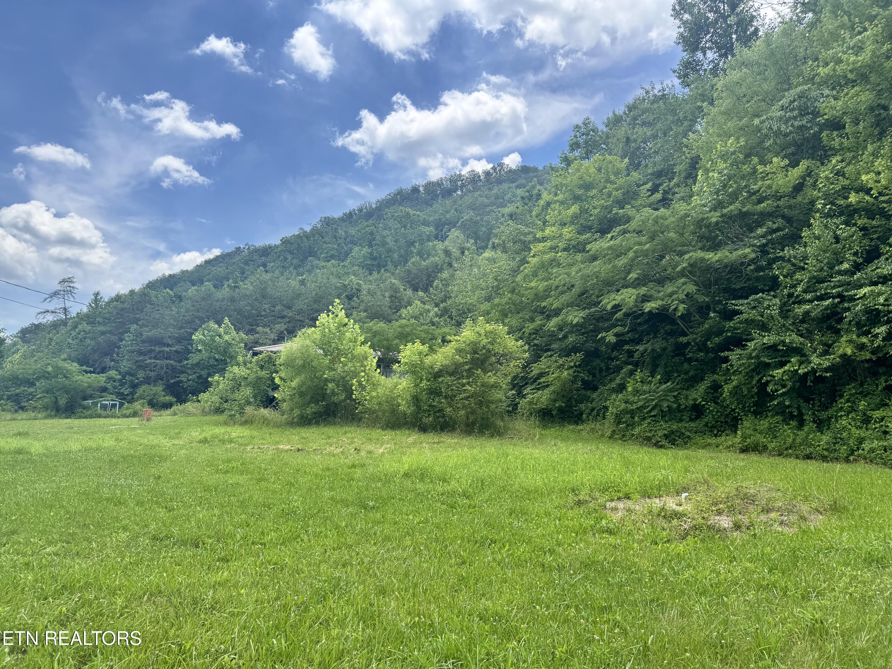 955 Rock Haven Road Bean Station TN 37708