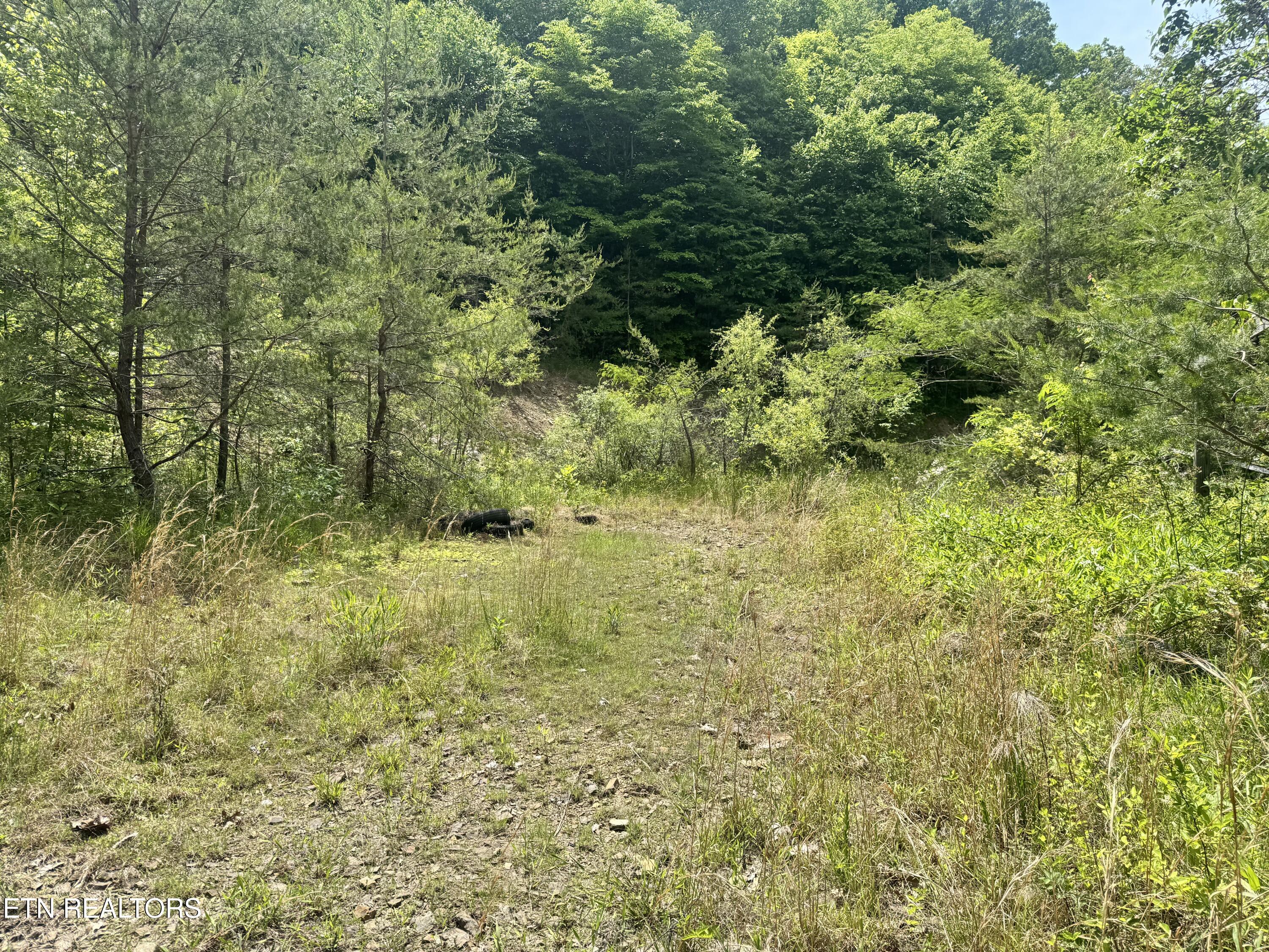 955 Rock Haven Road Bean Station TN 37708