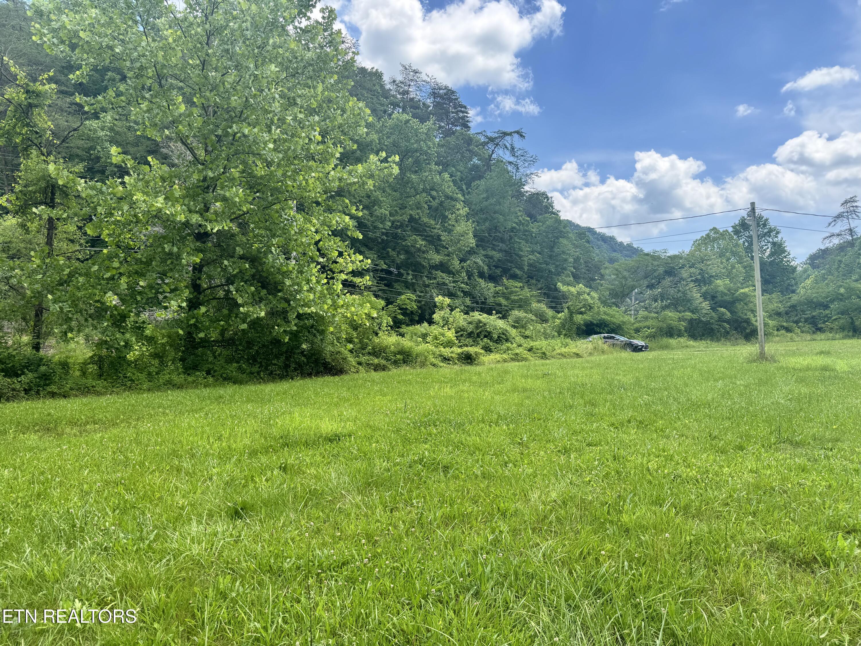 955 Rock Haven Road Bean Station TN 37708