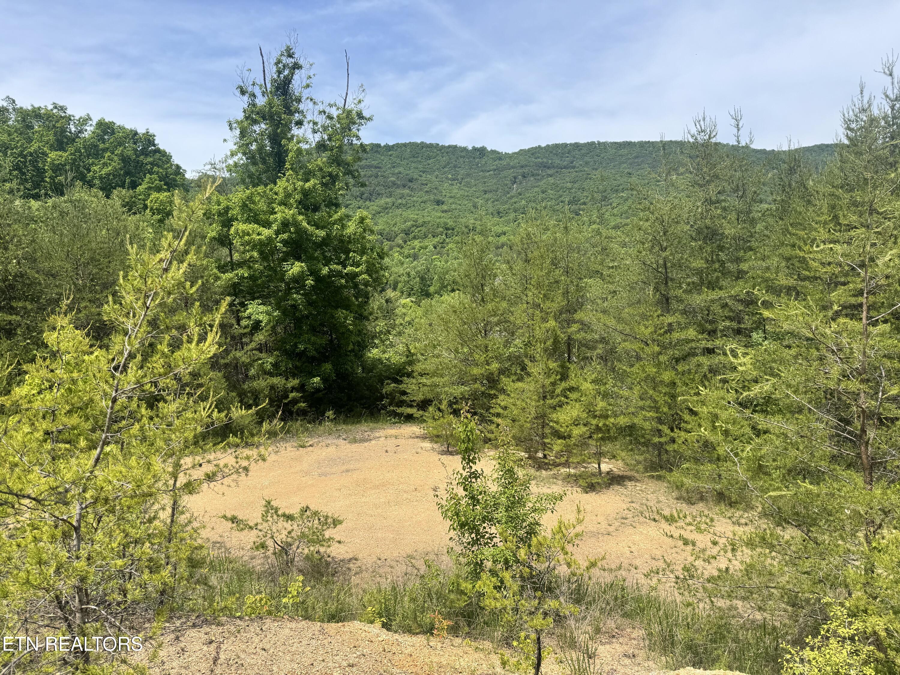 955 Rock Haven Road Bean Station TN 37708
