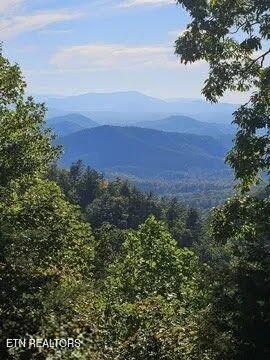 1114 Red Maple Lane Sevierville TN 37876