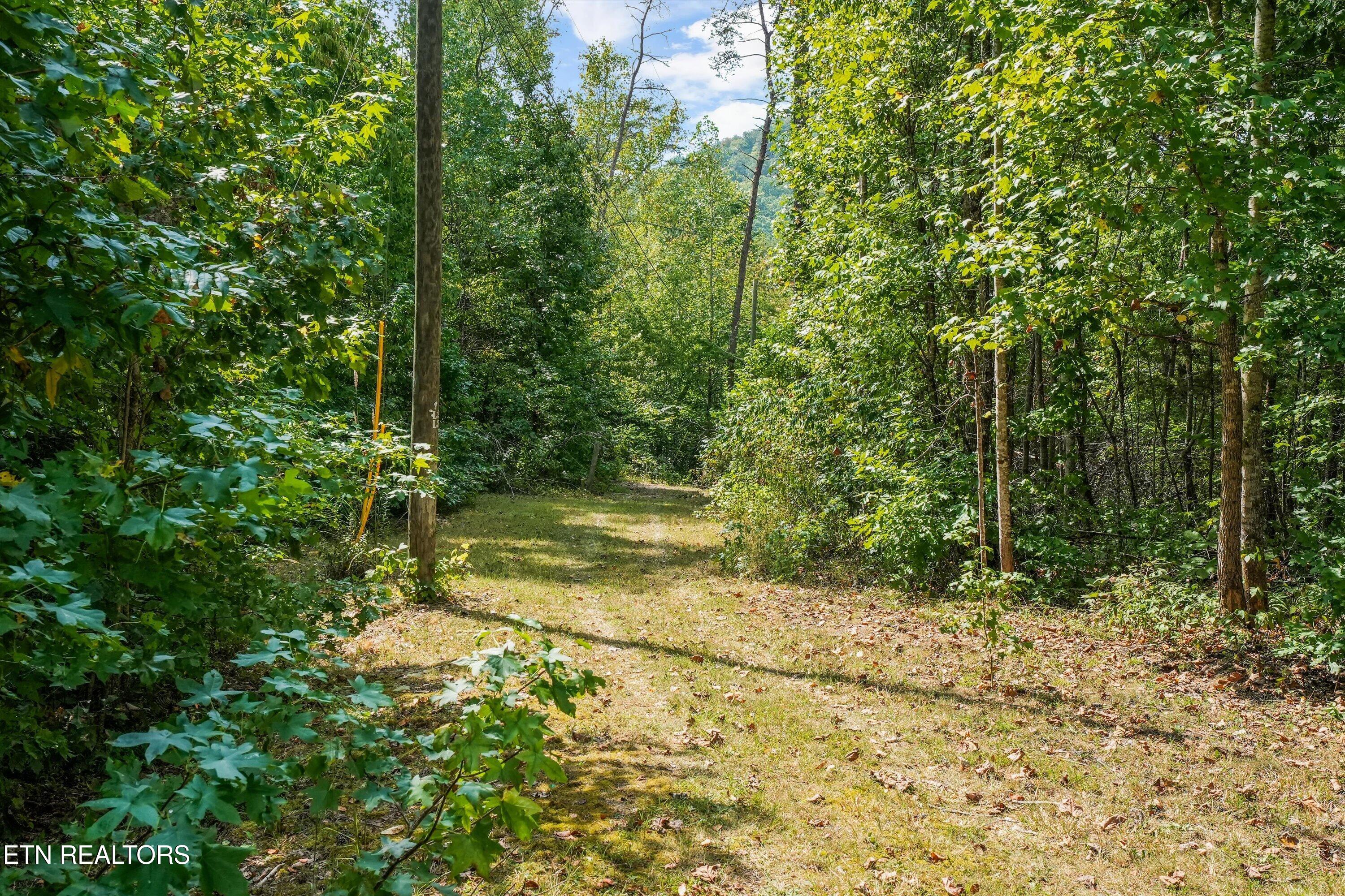 9138 Tolson Road Knoxville TN 37938