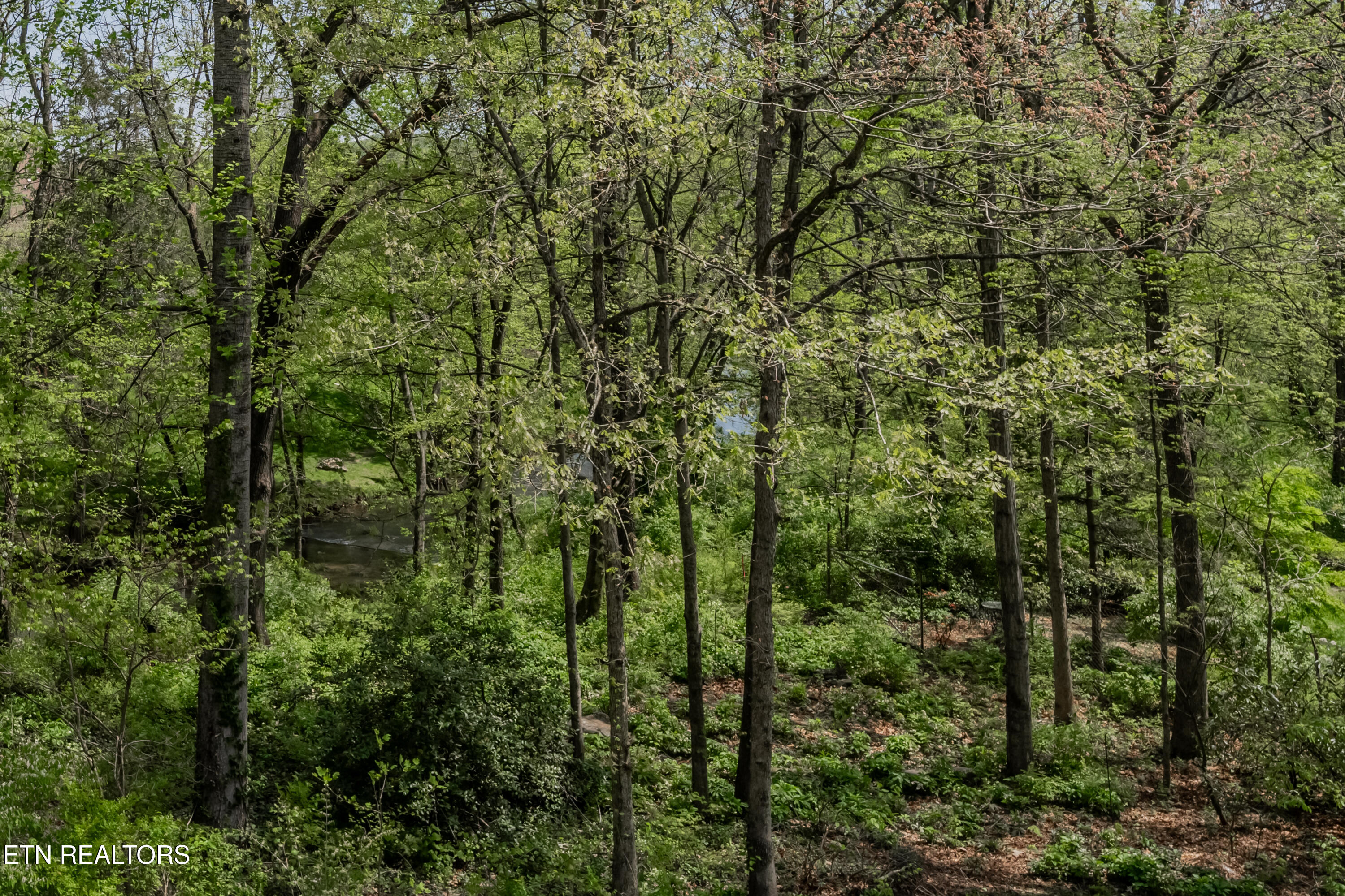 1052 Craigland Court Knoxville TN 37919