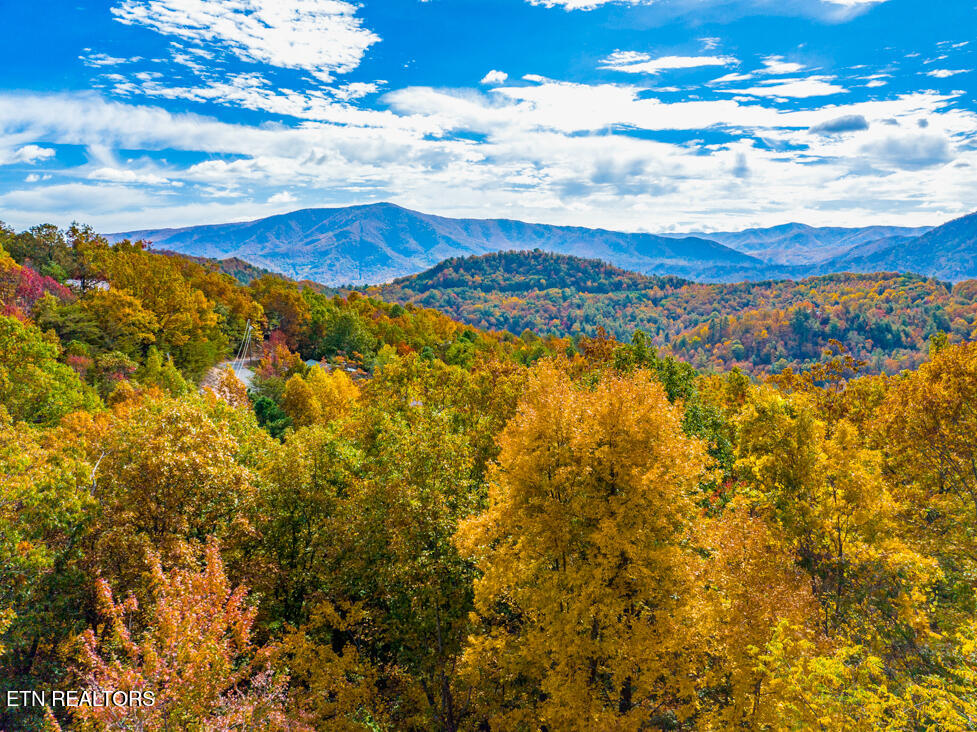 3825 Millers Ridge Way Sevierville TN 37862