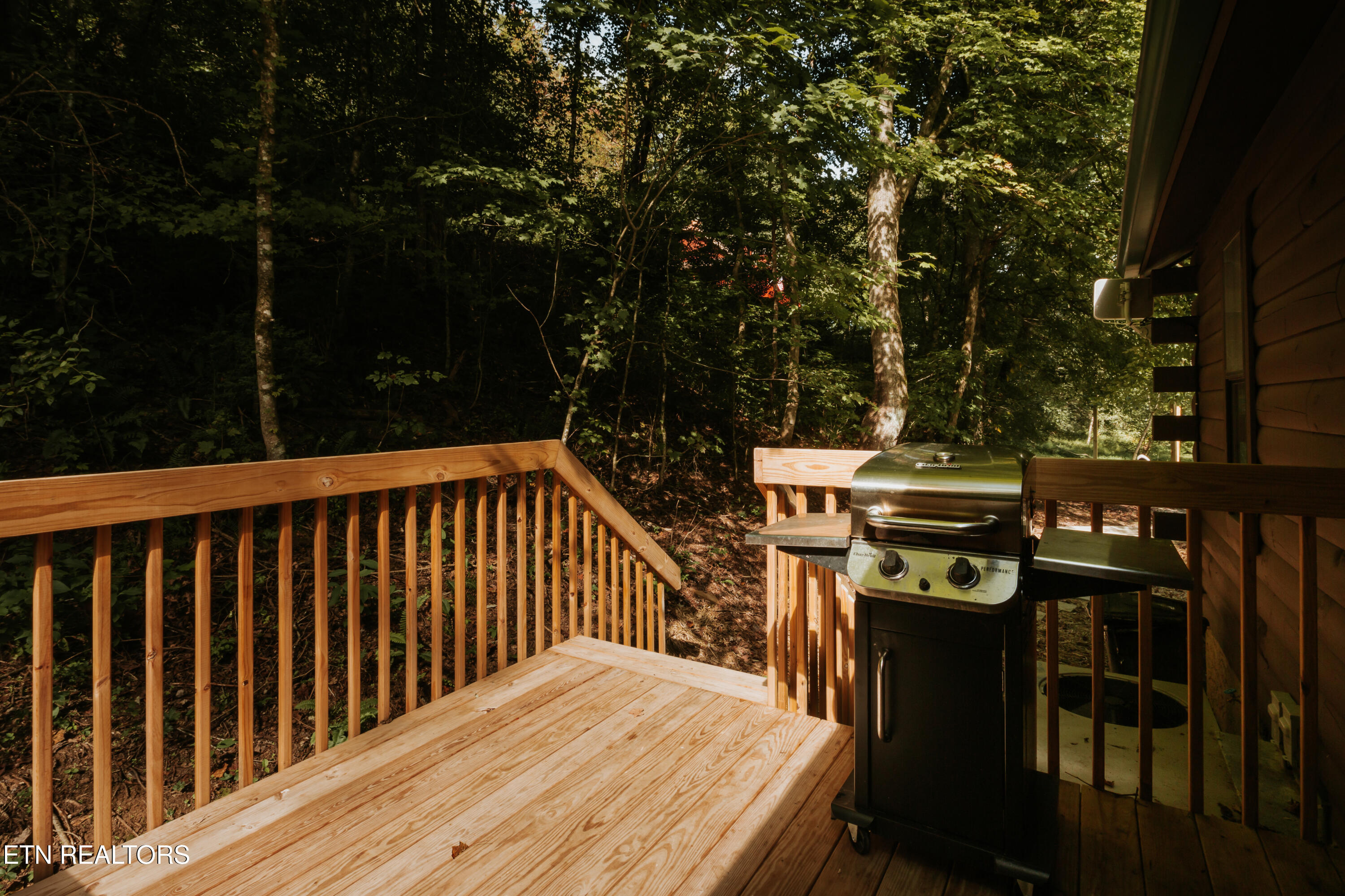 1115 Rocky Top Ridge Way Sevierville TN 37876