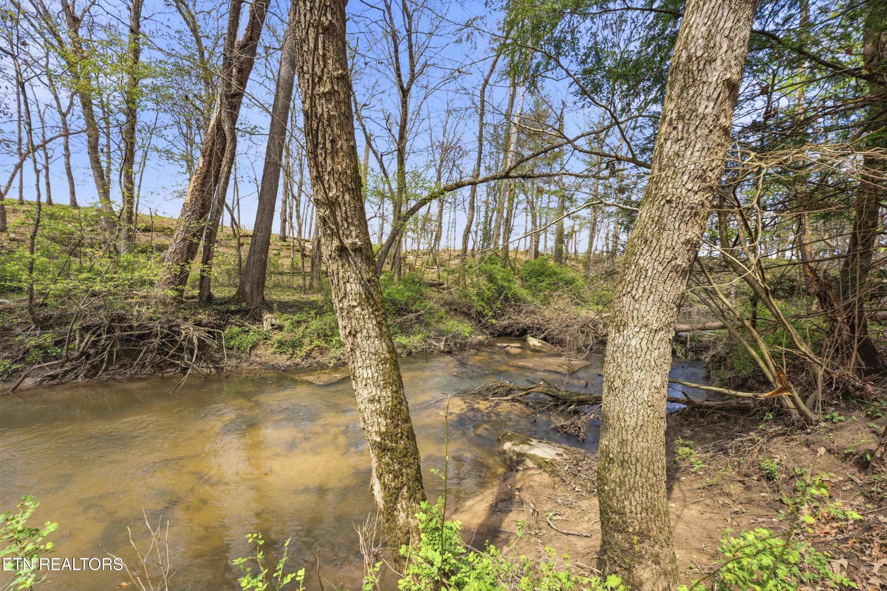 55 Rocky Lane Crossville TN 38571