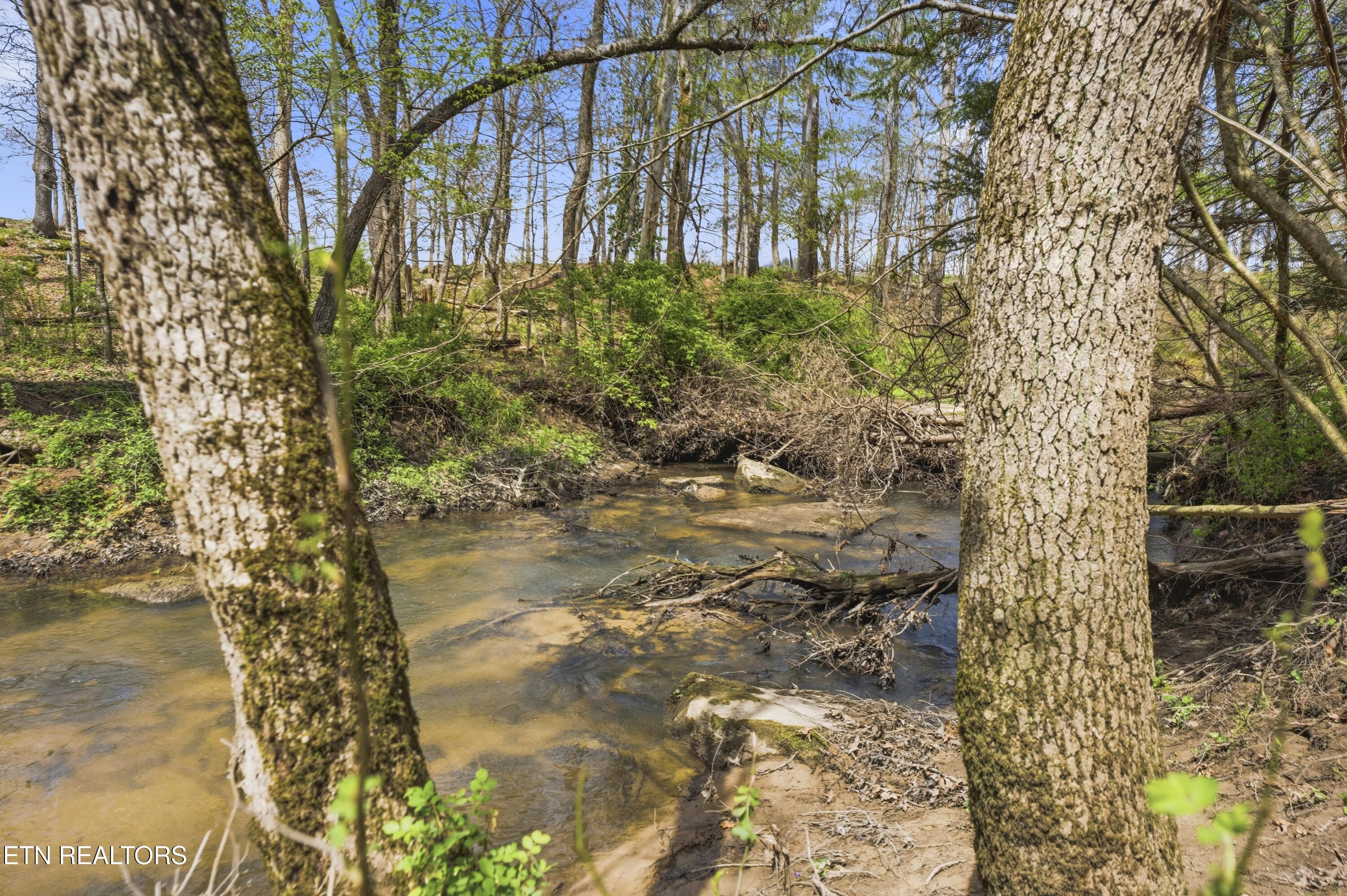55 Rocky Lane Crossville TN 38571