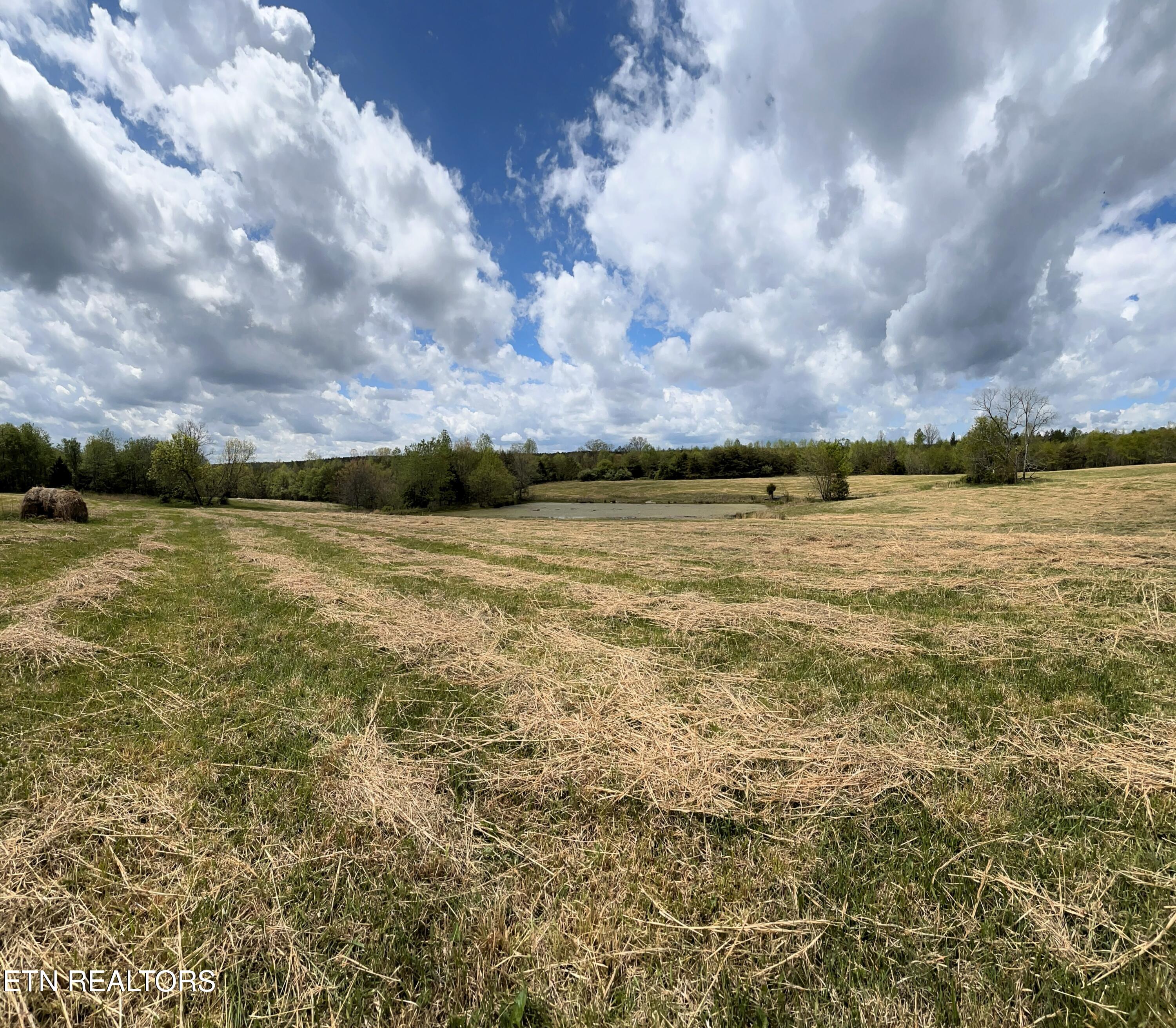 1038 Newton Lane Crossville TN 38572