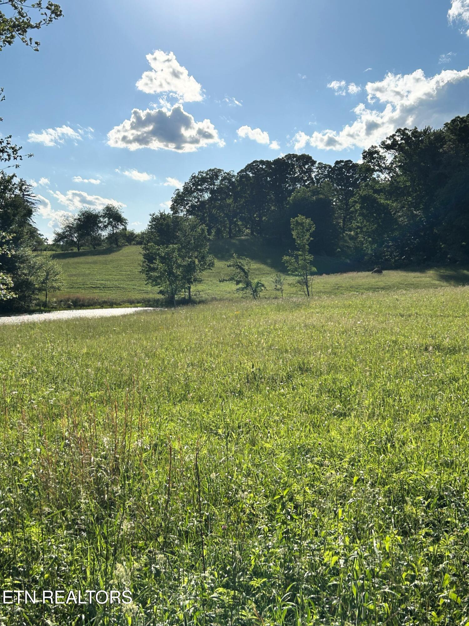 1038 Newton Lane Crossville TN 38572