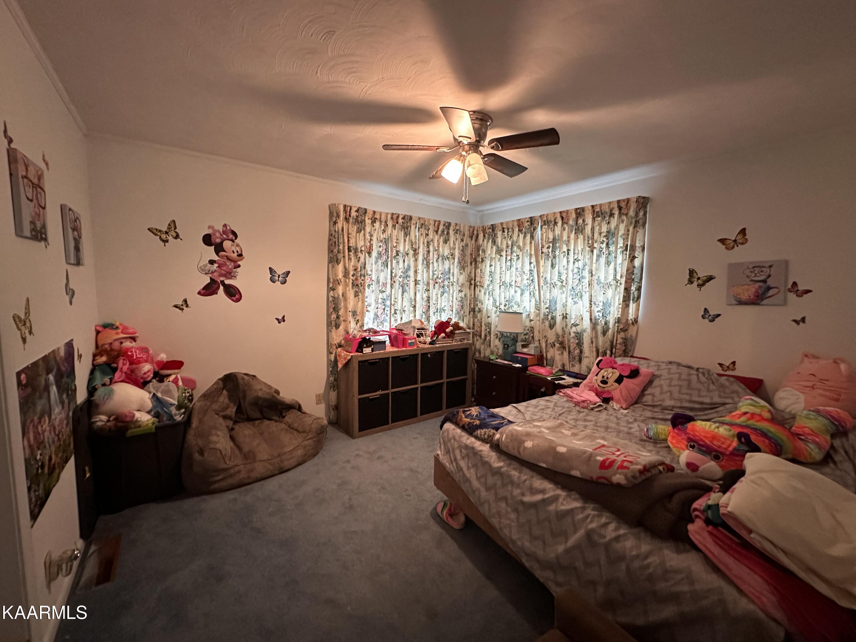 739 Sherwood Drive Rockwood TN 37854