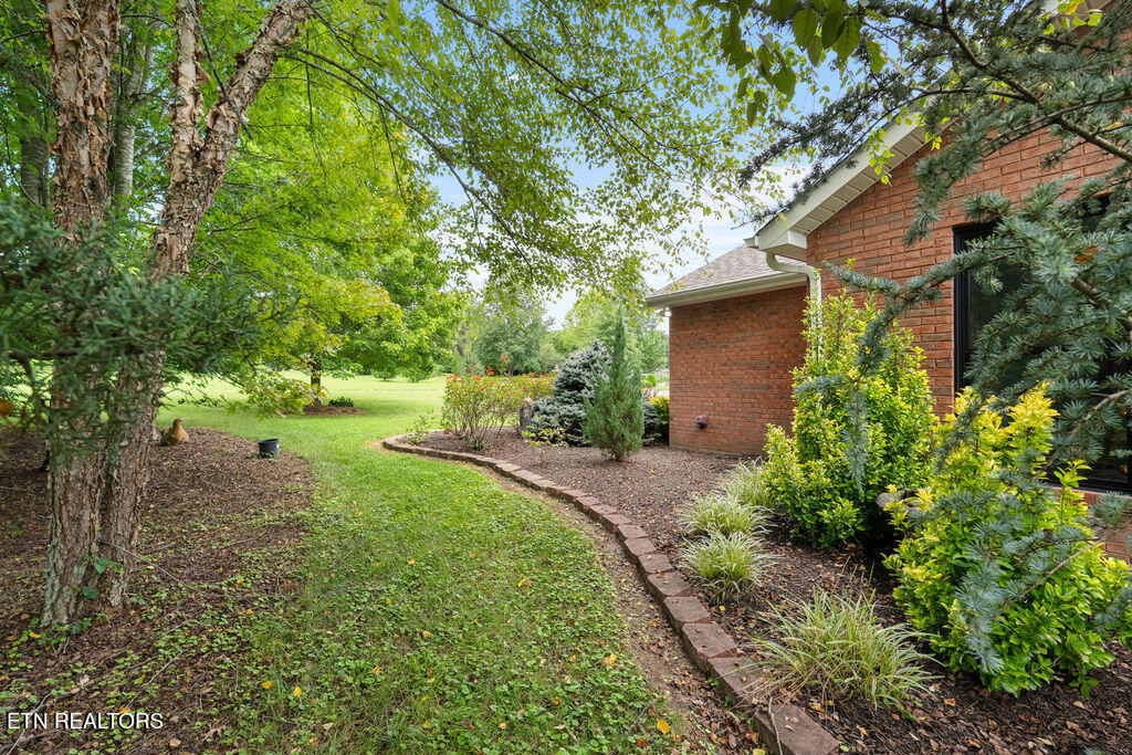 7425 Casselberry Circle Corryton TN 37721
