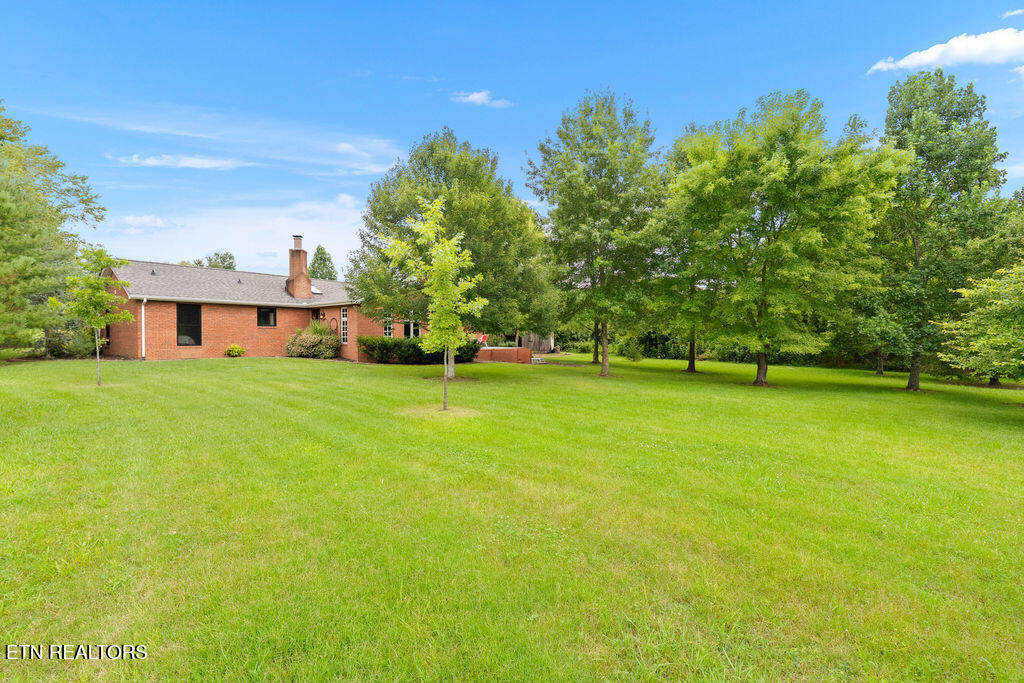 7425 Casselberry Circle Corryton TN 37721