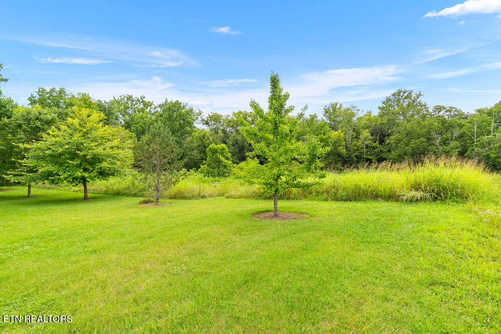 7425 Casselberry Circle Corryton TN 37721