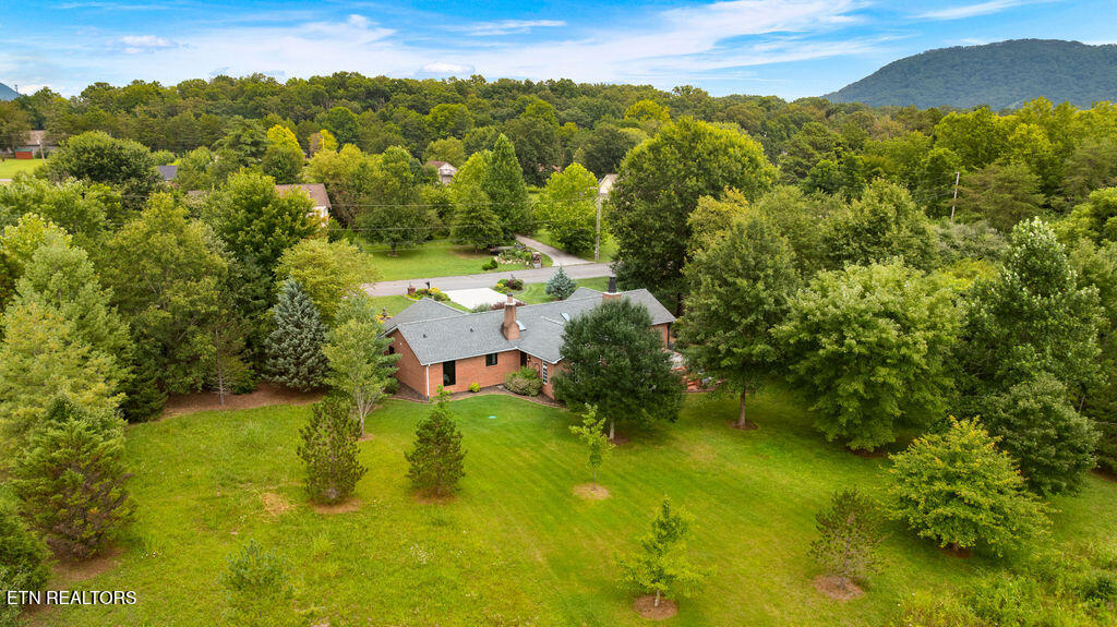 7425 Casselberry Circle Corryton TN 37721
