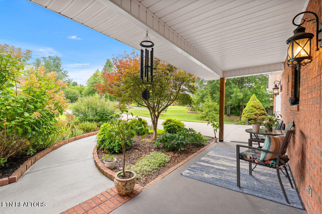 7425 Casselberry Circle Corryton TN 37721