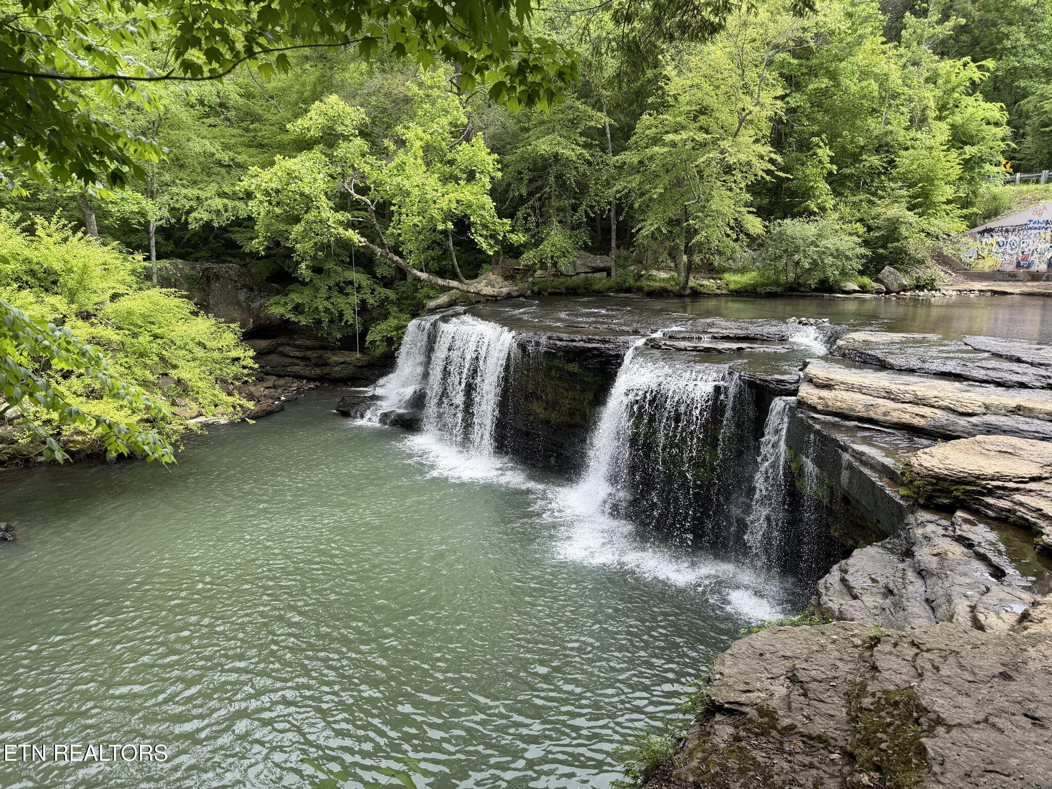 117 Delia Young Lane Wartburg TN 37887
