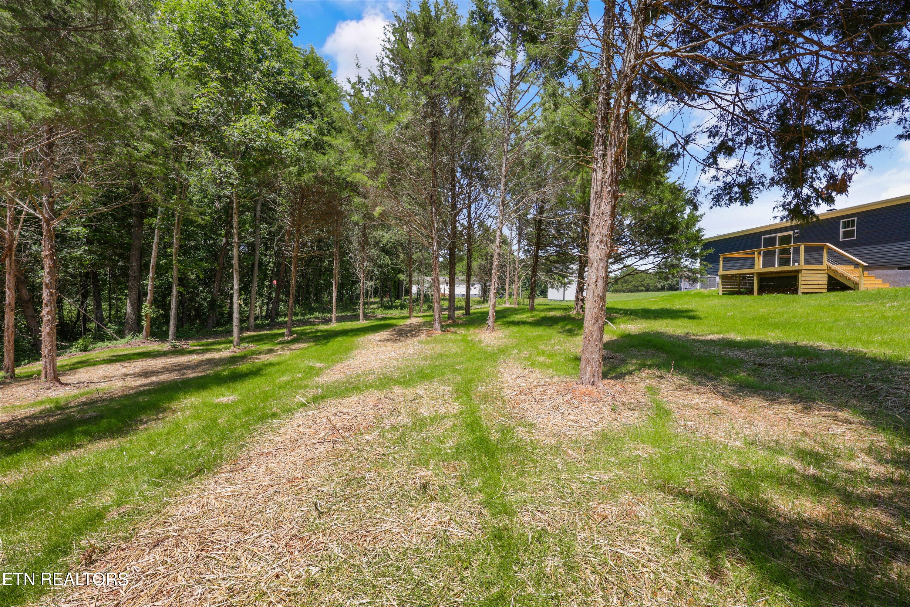 291 County Road 334 Niota TN 37826