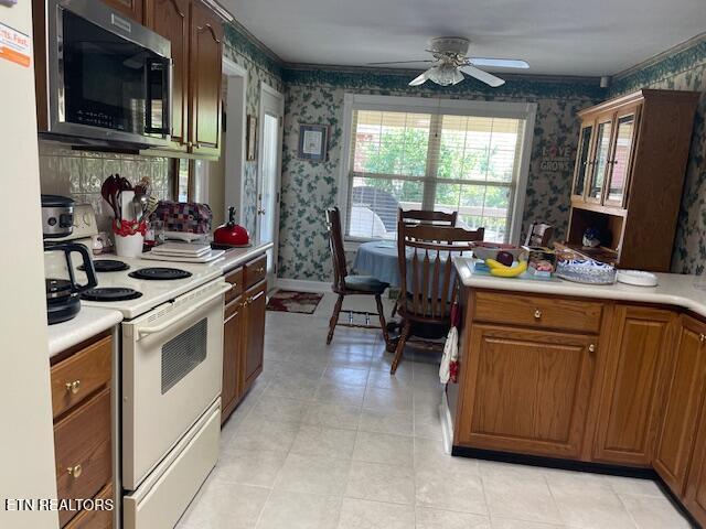 244 Kensington Court Morristown TN 37814