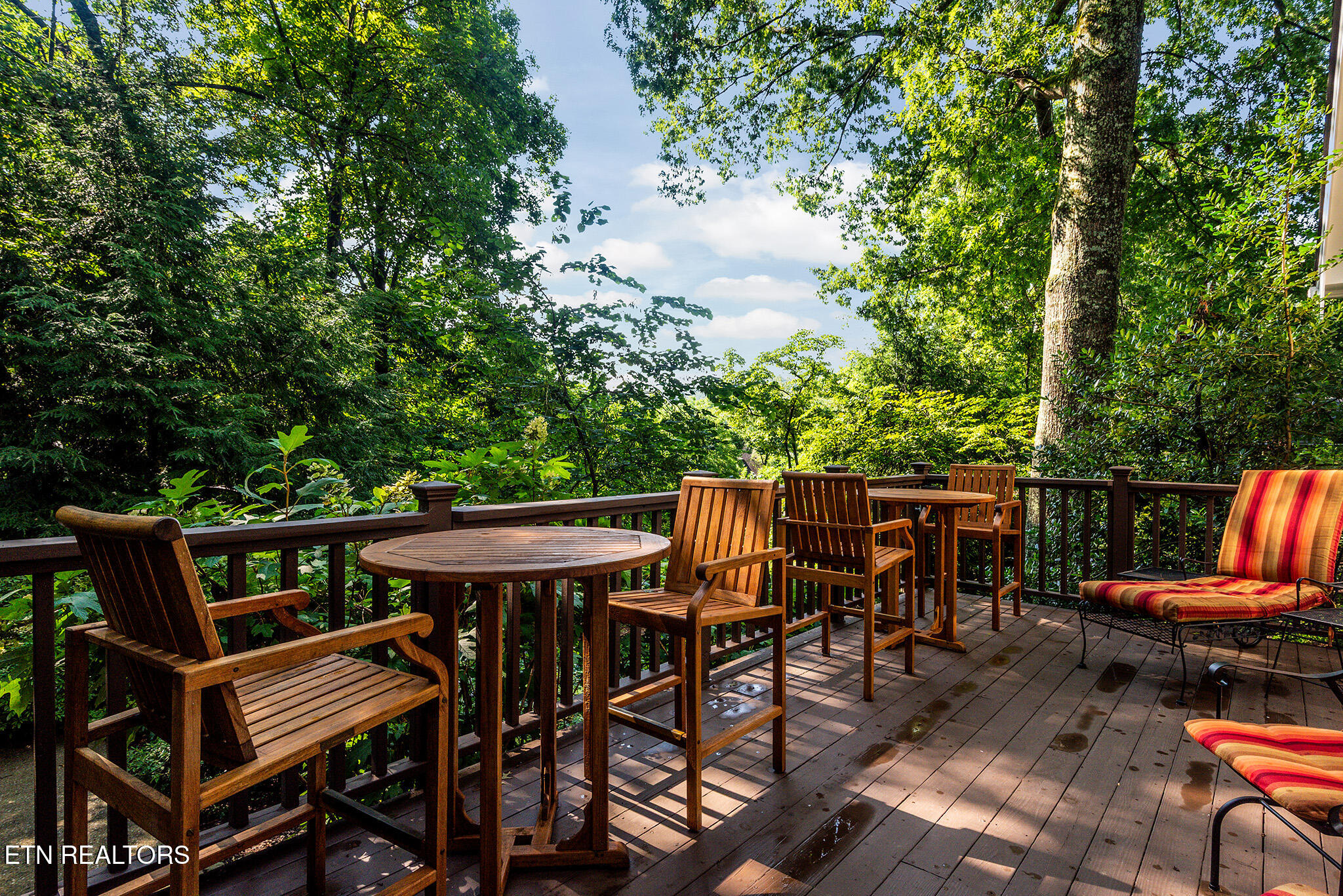 1044 Craigland Court Knoxville TN 37919