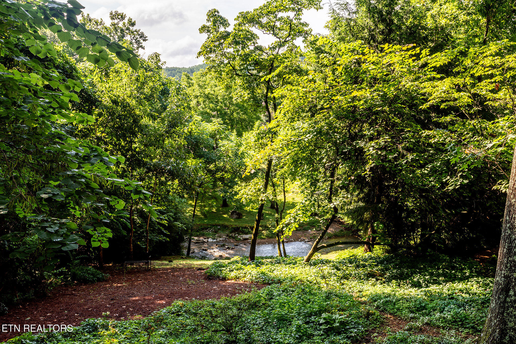 1044 Craigland Court Knoxville TN 37919
