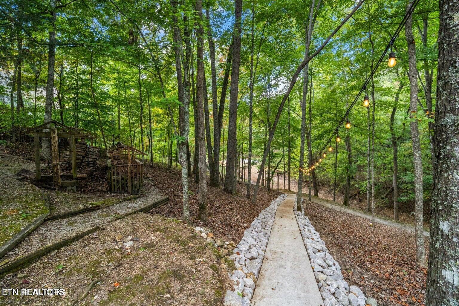 1123 Cove Pointe Road Lafollette TN 37766