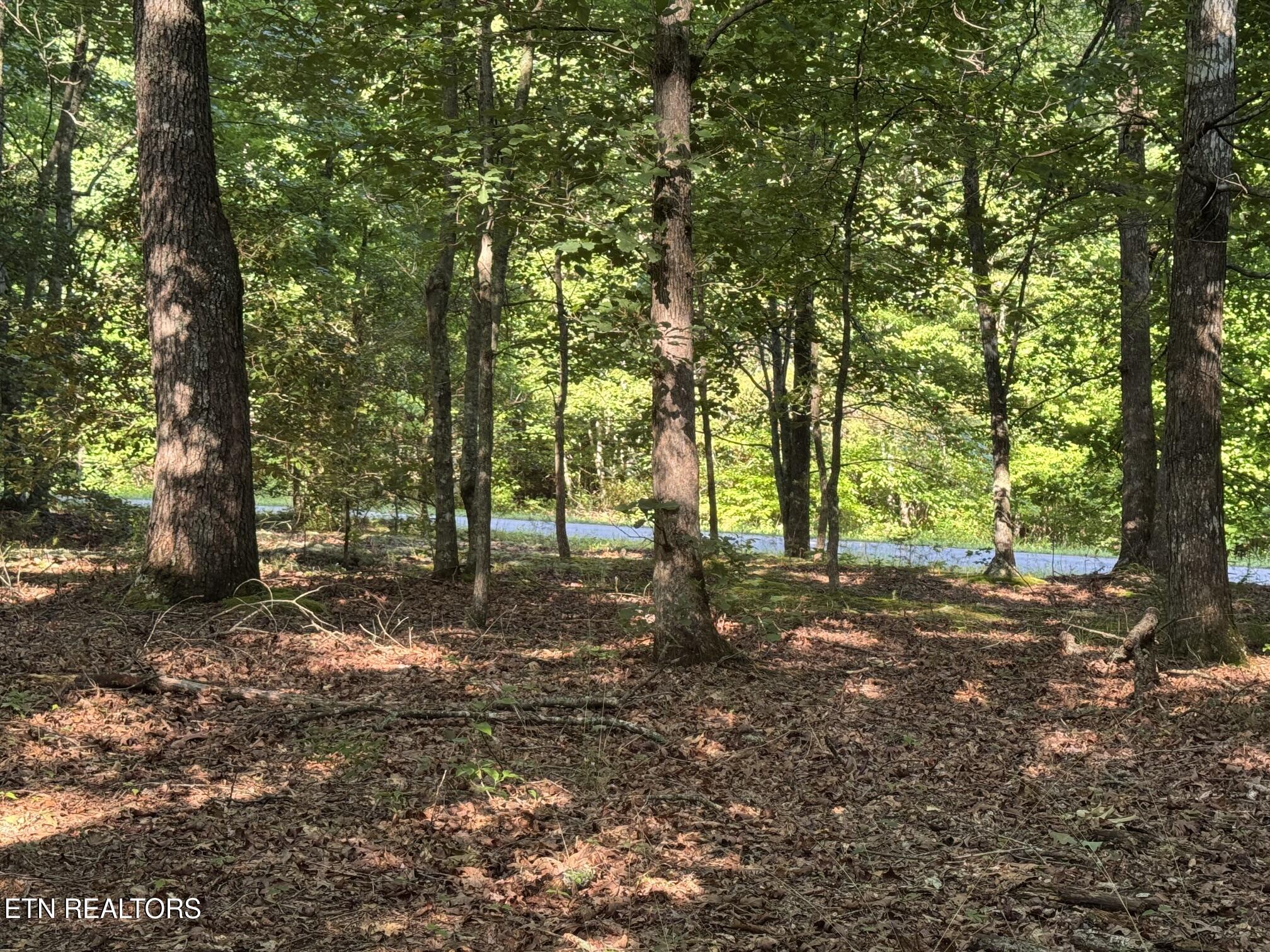 366 Swallows Crossing Grimsley TN 38565