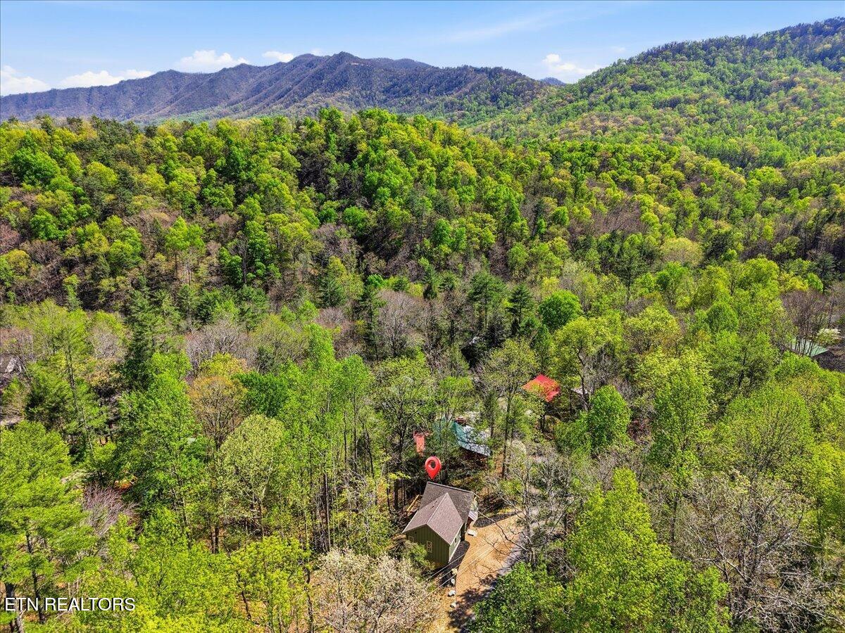 405 Laurel Trace Road Townsend TN 37882