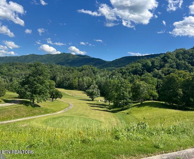 405 Laurel Trace Road Townsend TN 37882