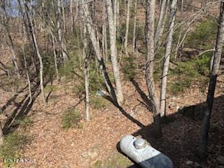 911 Swan Saddle Sevierville TN 37876