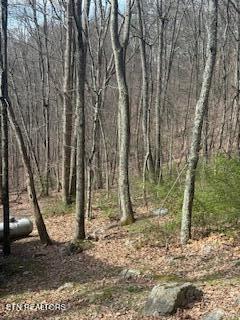 911 Swan Saddle Sevierville TN 37876