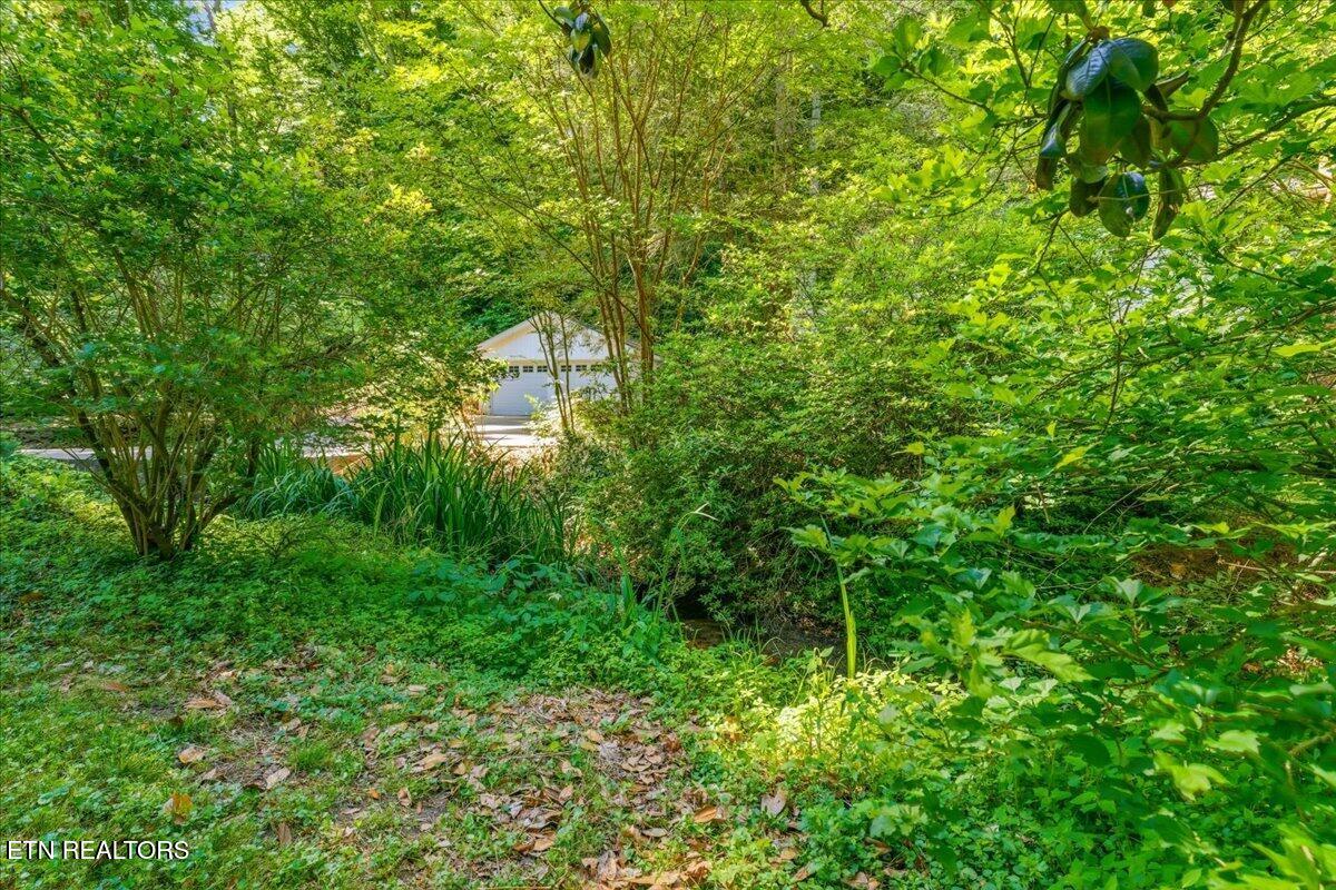 8773 White Wing Road Lenoir City TN 37771
