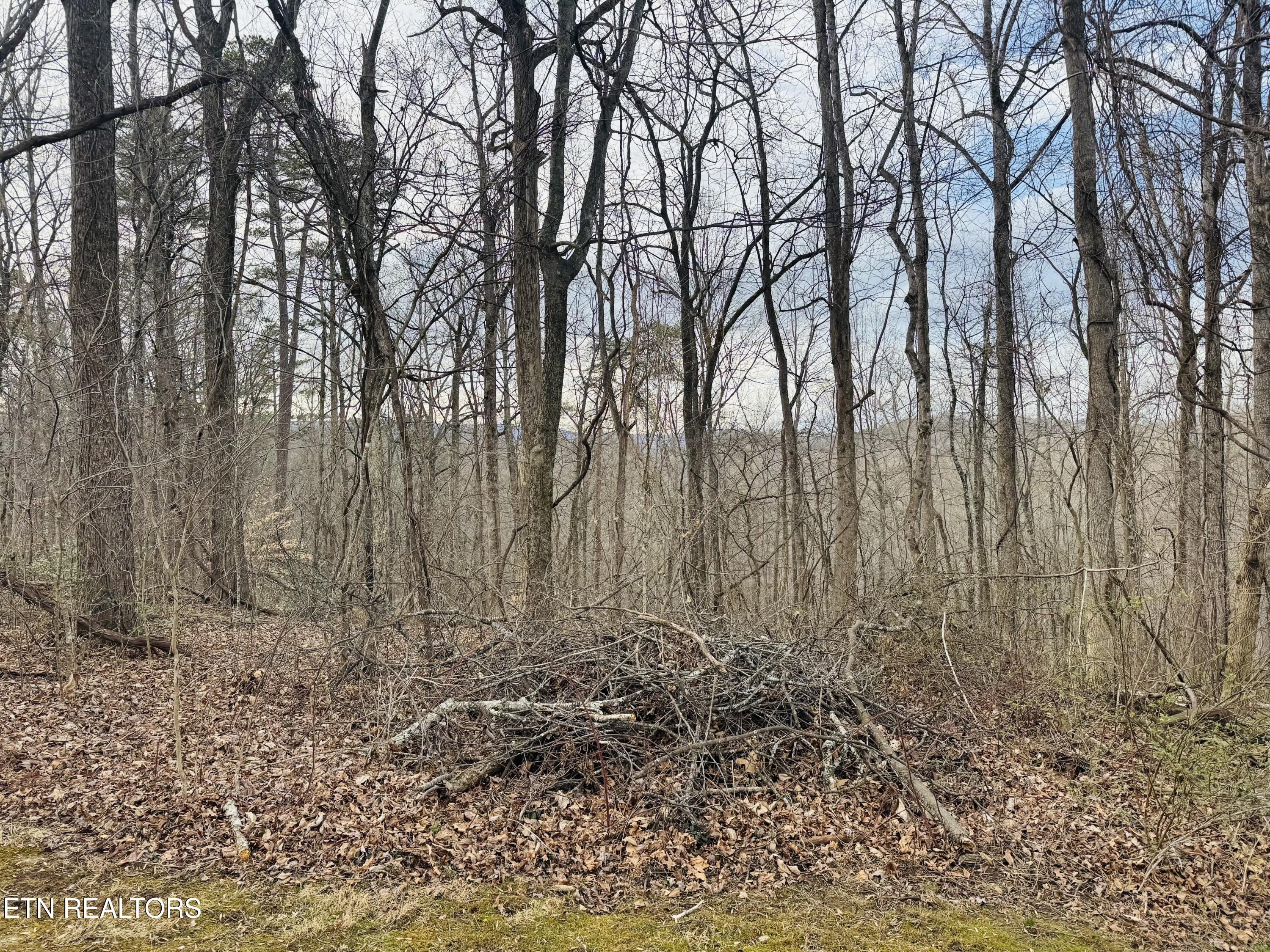 106 Echo Valley Road Rocky Top TN 37769