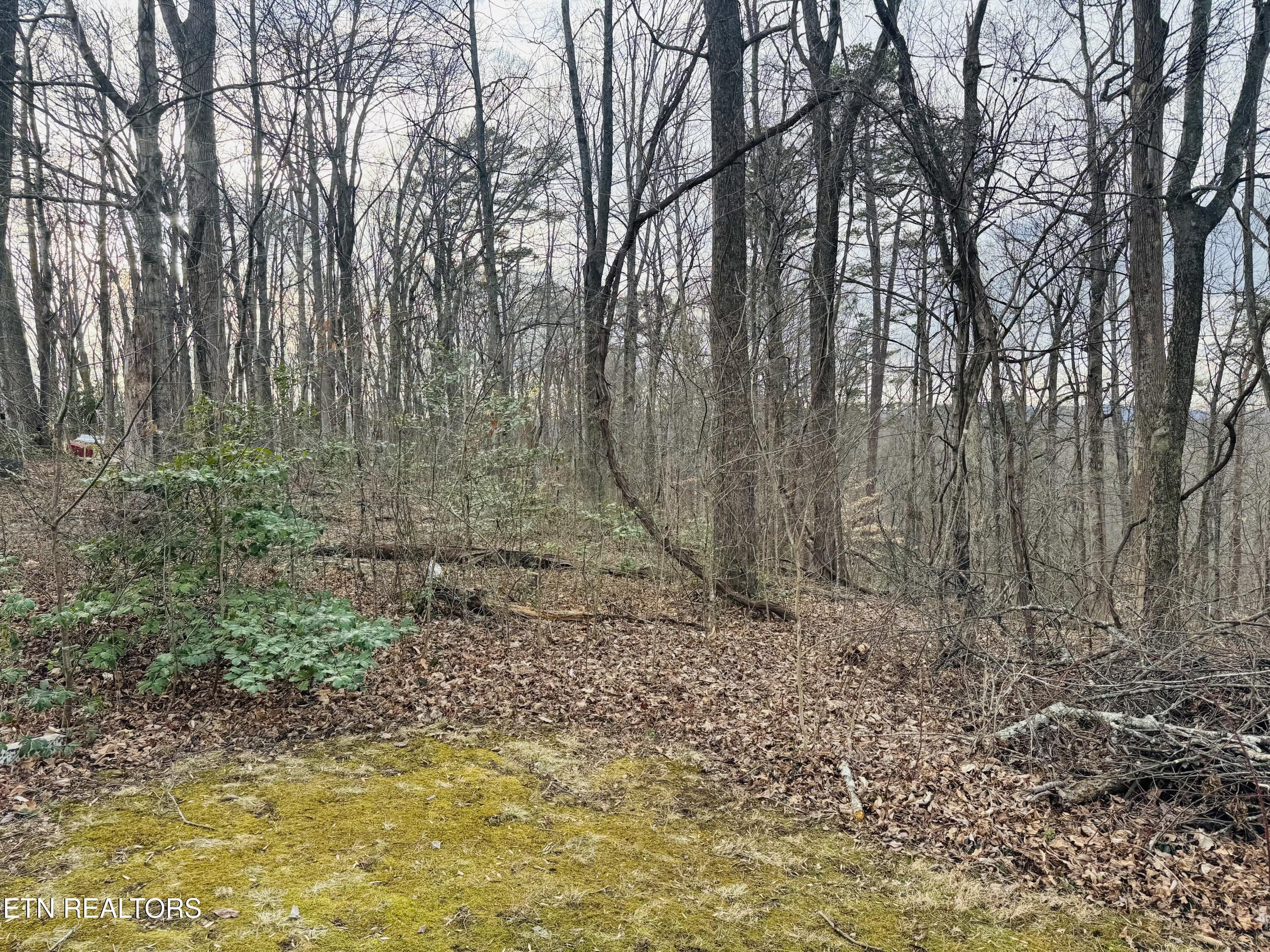 106 Echo Valley Road Rocky Top TN 37769